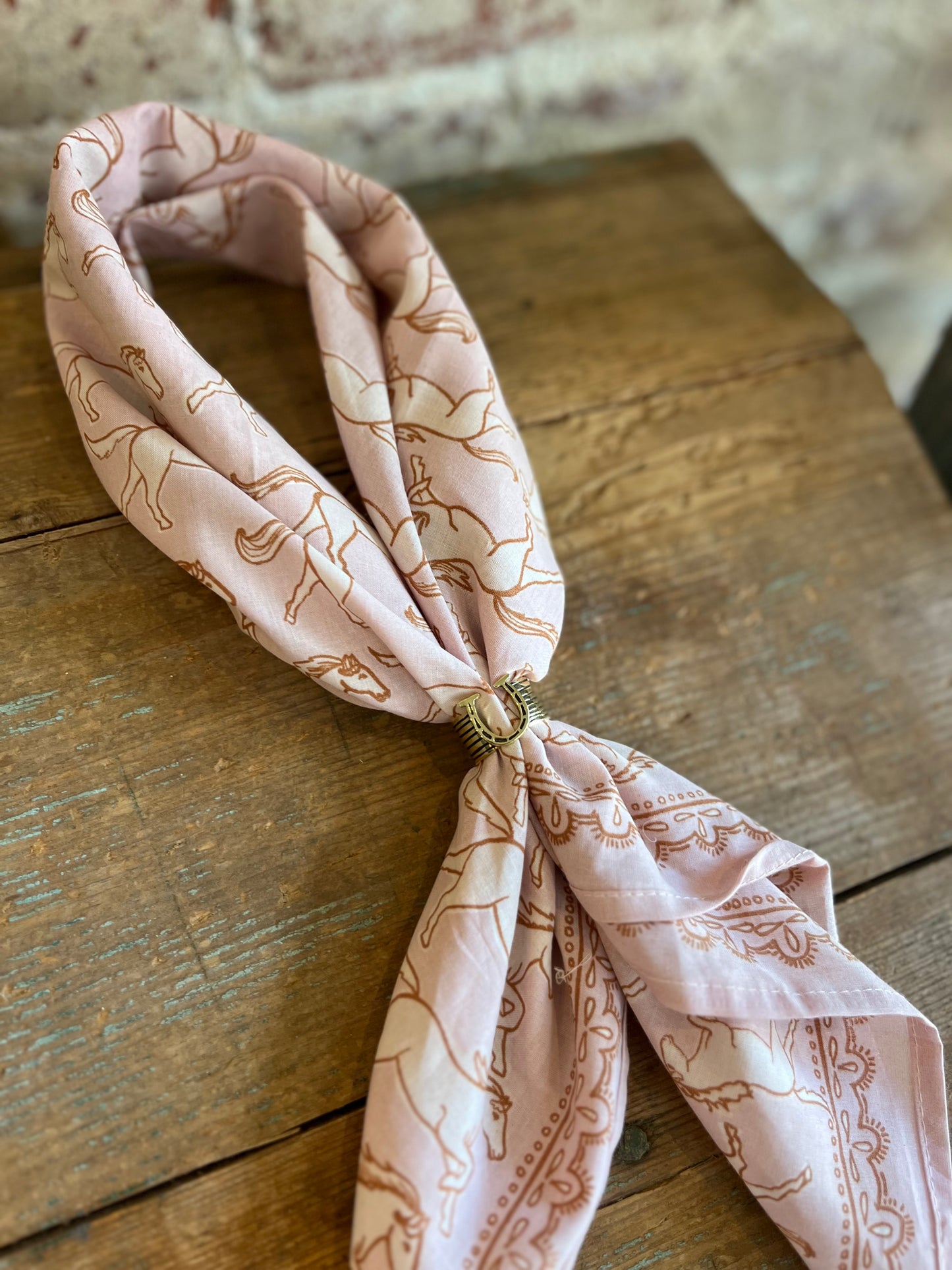 Horseshoe Brass Bandana Slide
