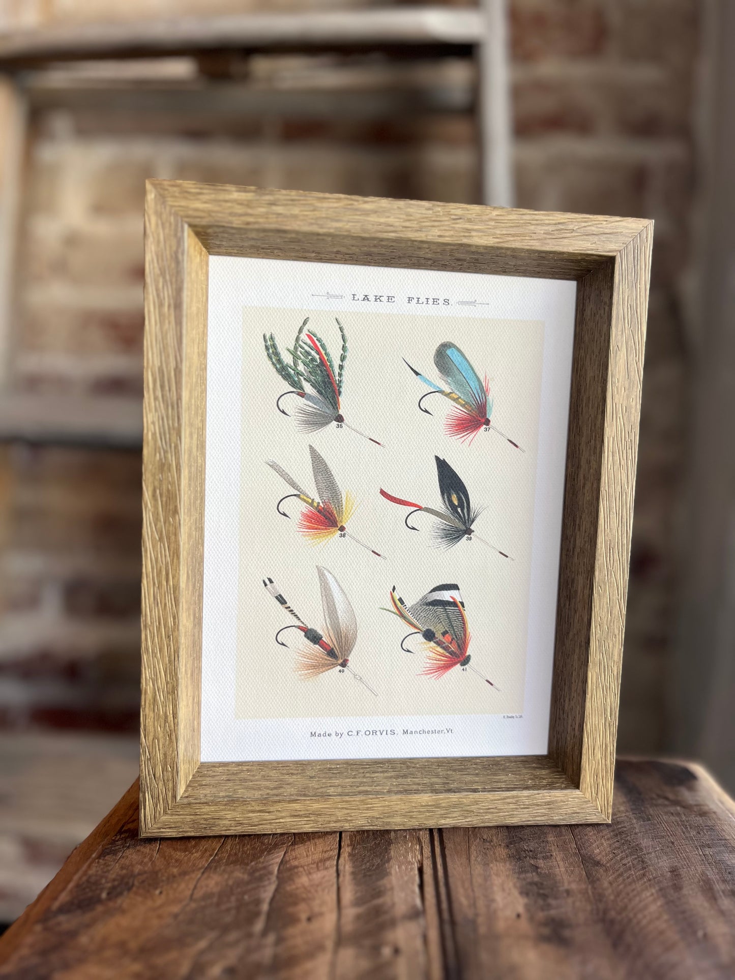 Lake Flies Framed Antique Art