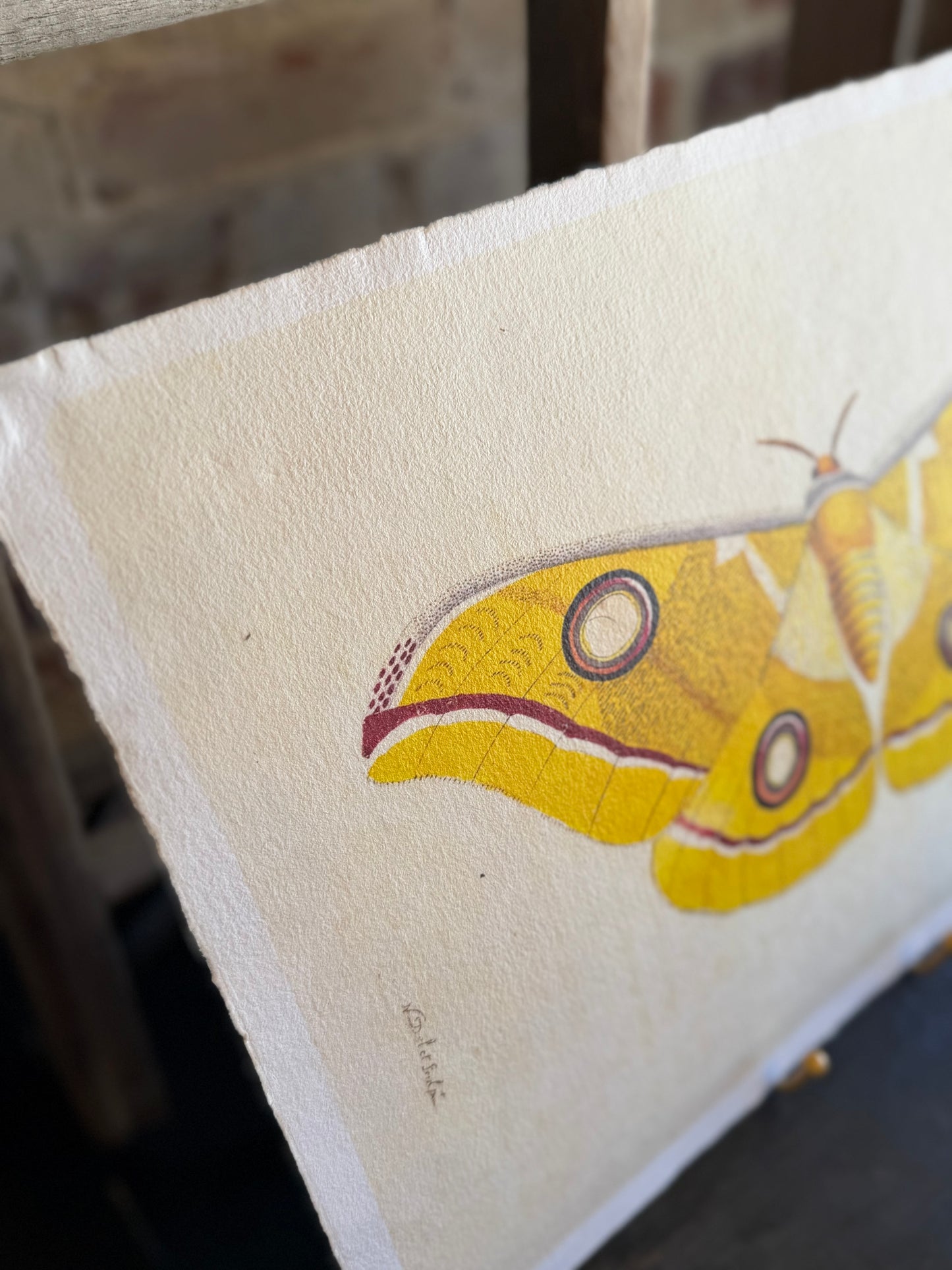 Yellow Moth Paper Print