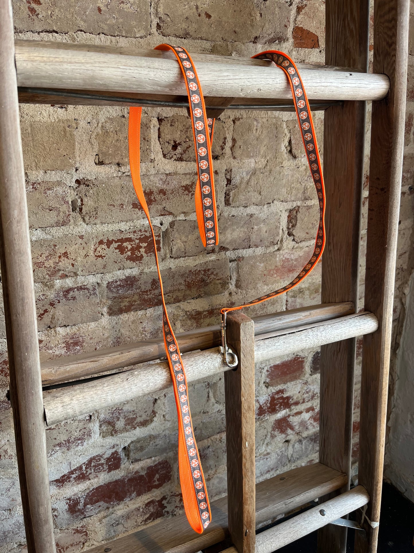 TriStar Leash- Orange