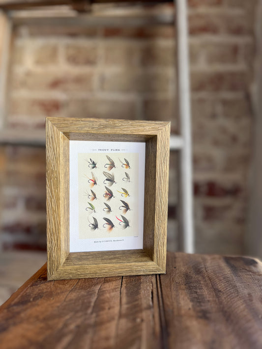 Trout Flies Framed Antique Art
