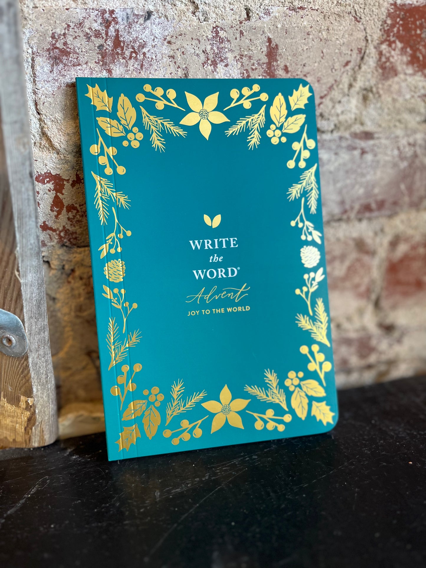 Write the Word Advent Journal