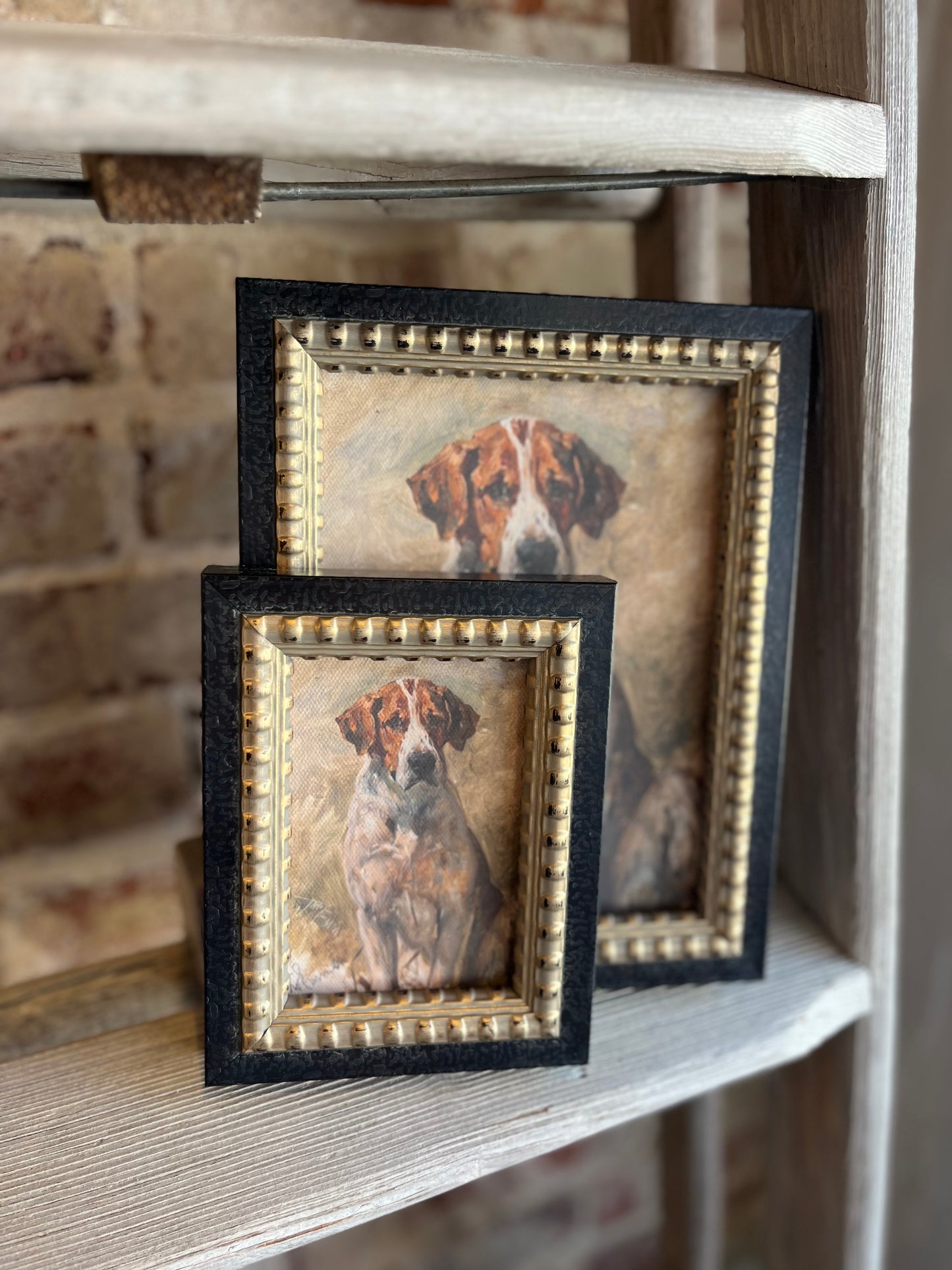 Study of a Hound Framed Antique Art - 5x7