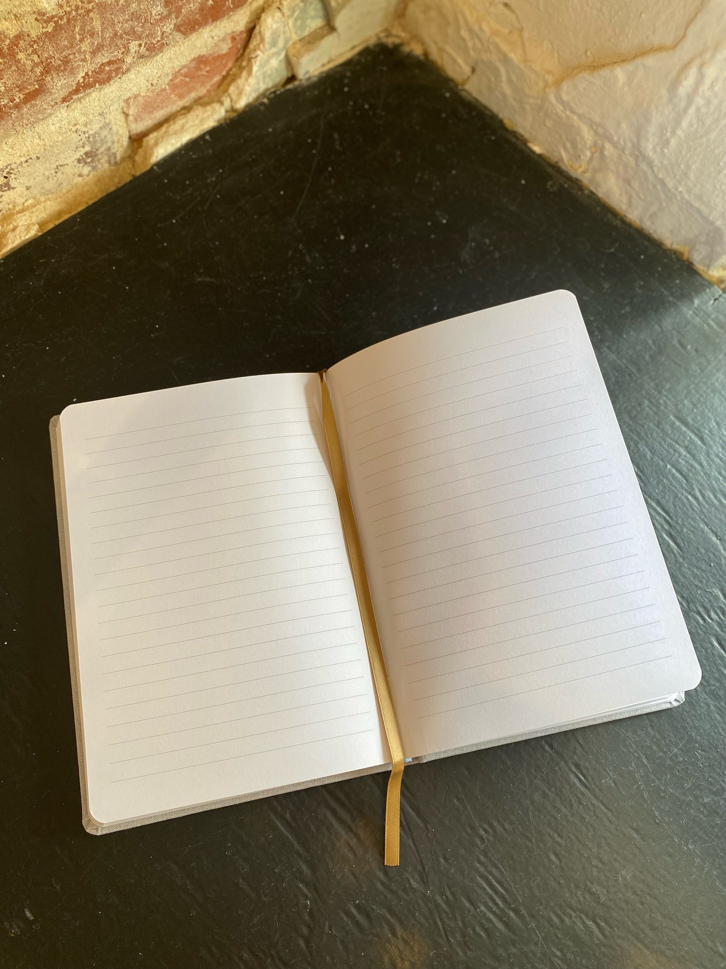 For I Know the Plans Journal