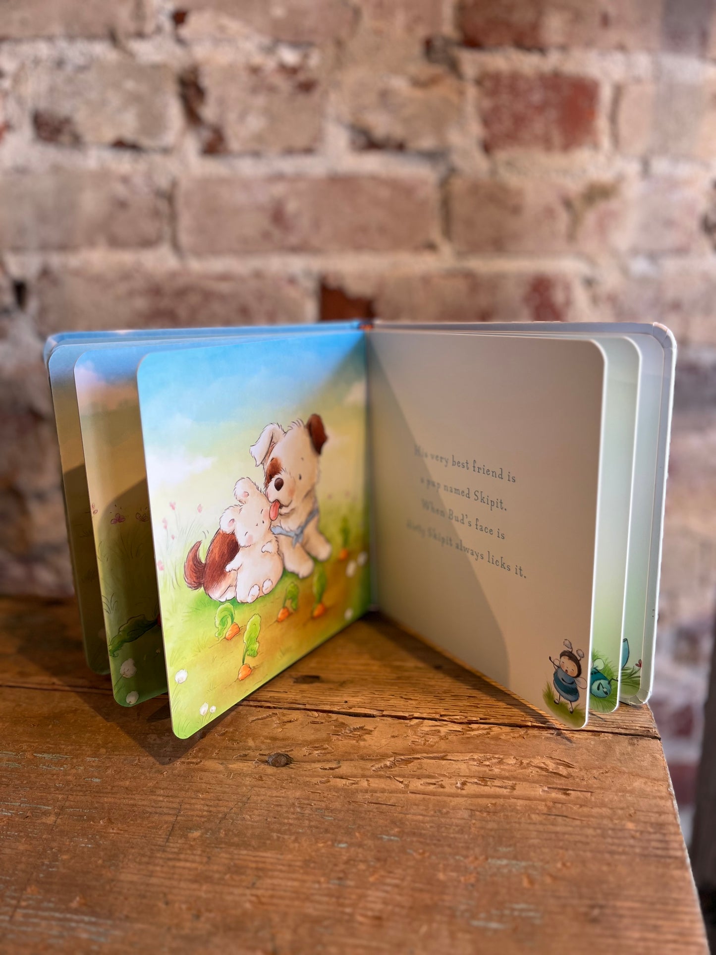 Best Friends Board Book