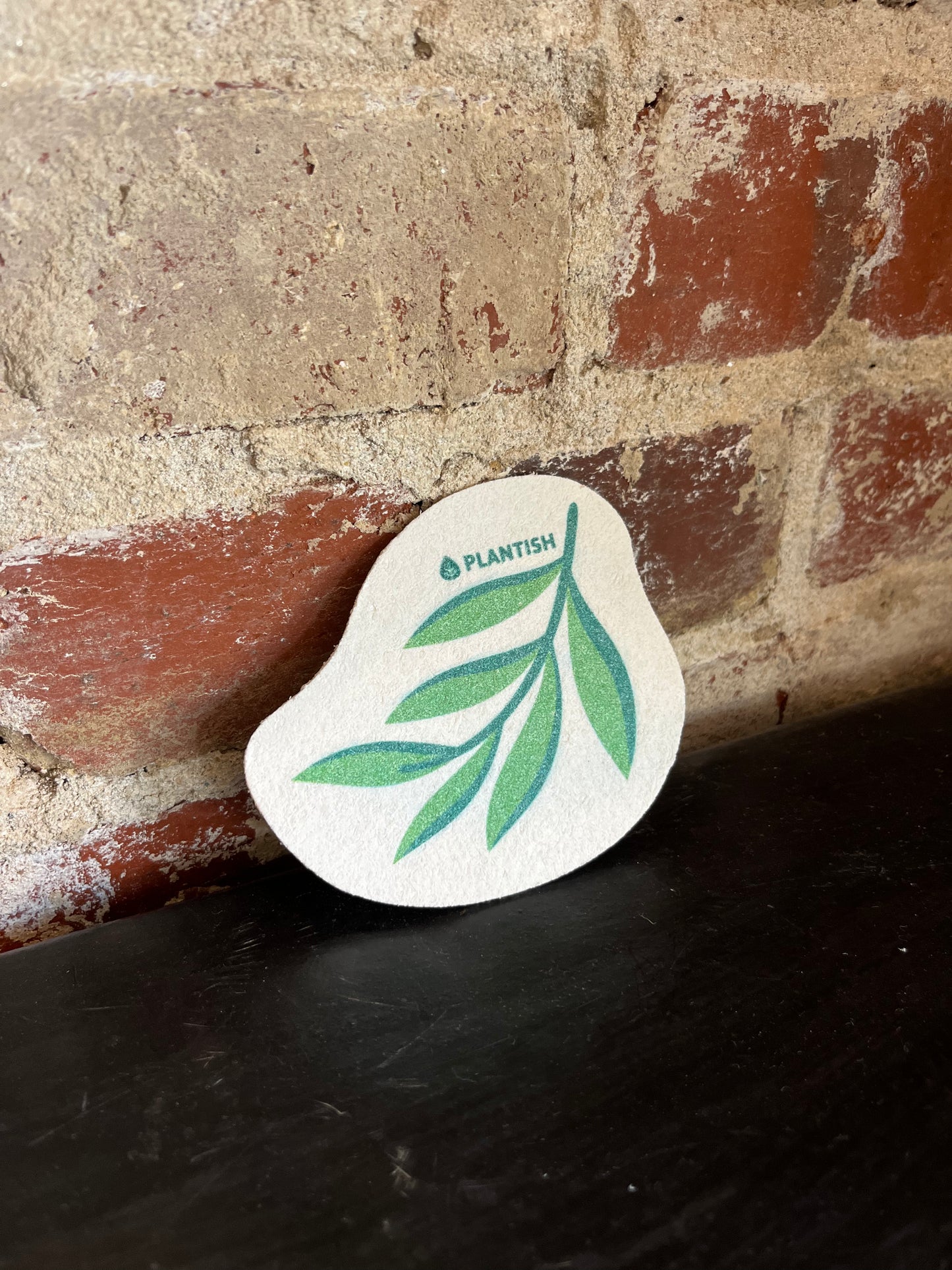 Pop-Up Sponge- Eucalyptus