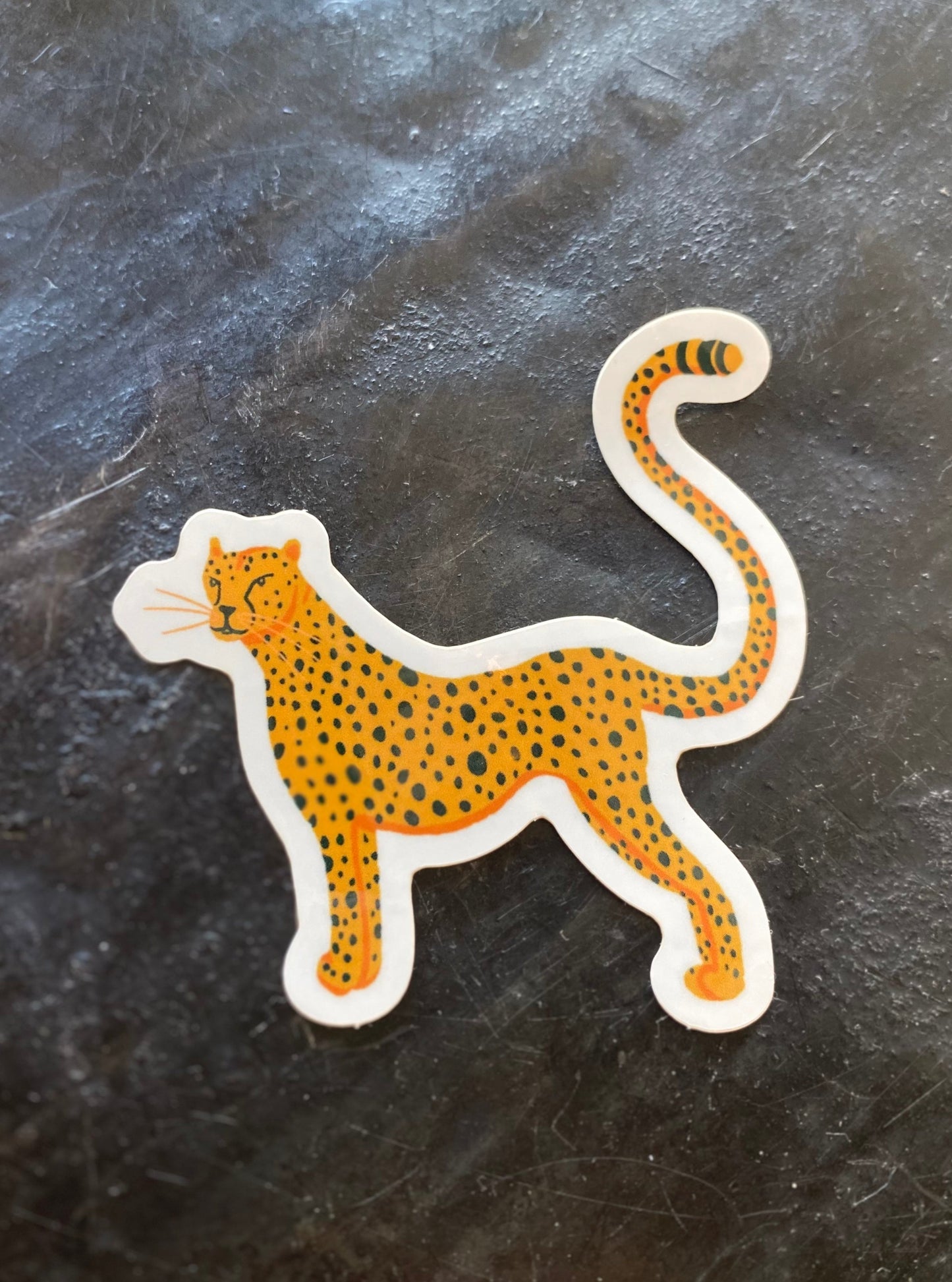 Cheetah Sticker