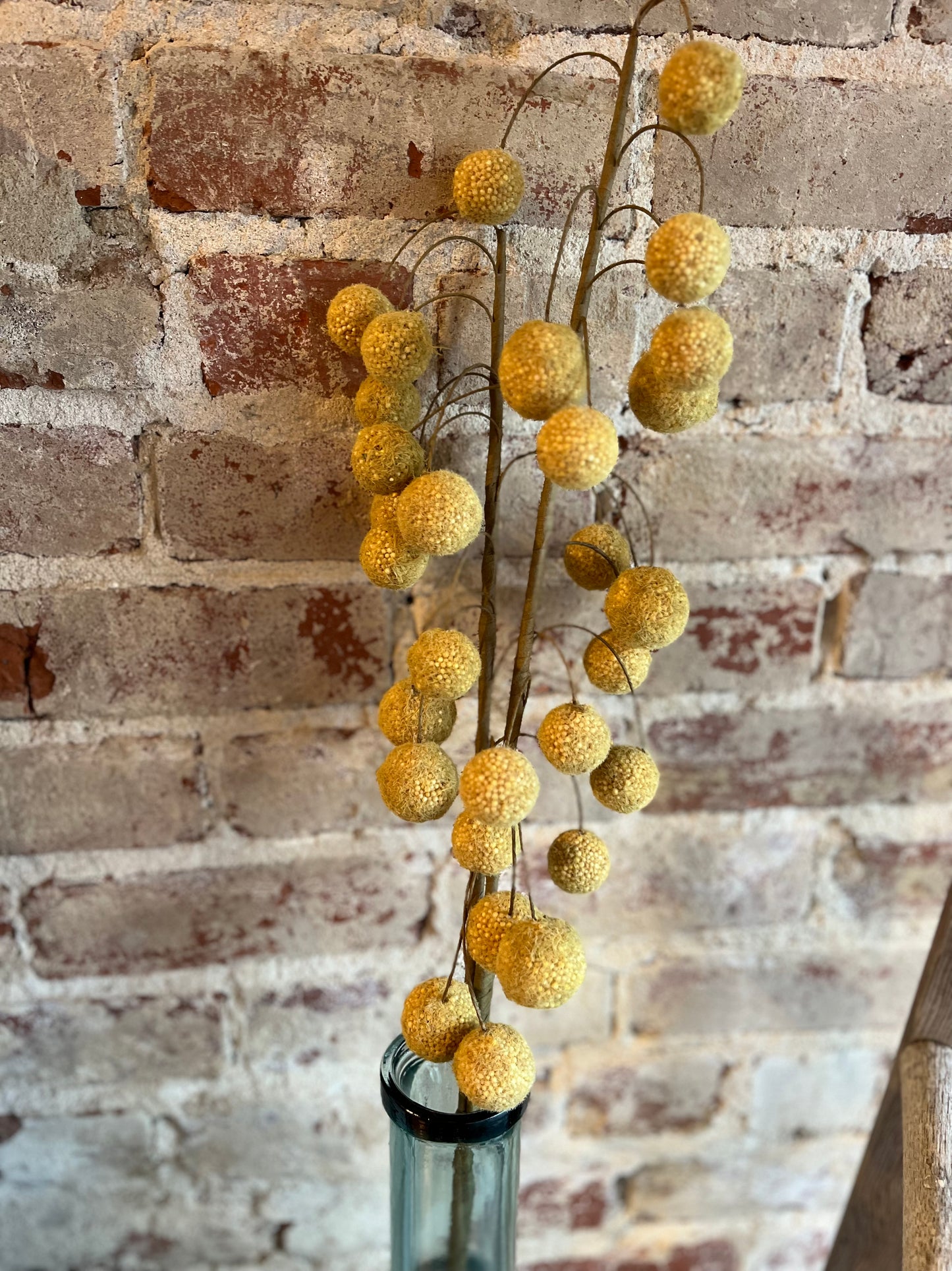 Billy Balls Stem
