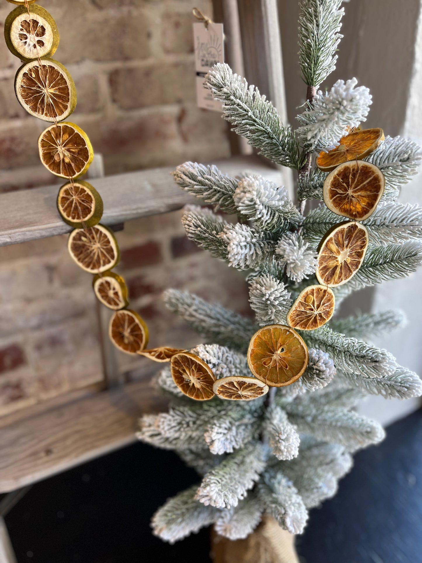Dried Orange Slice Garland