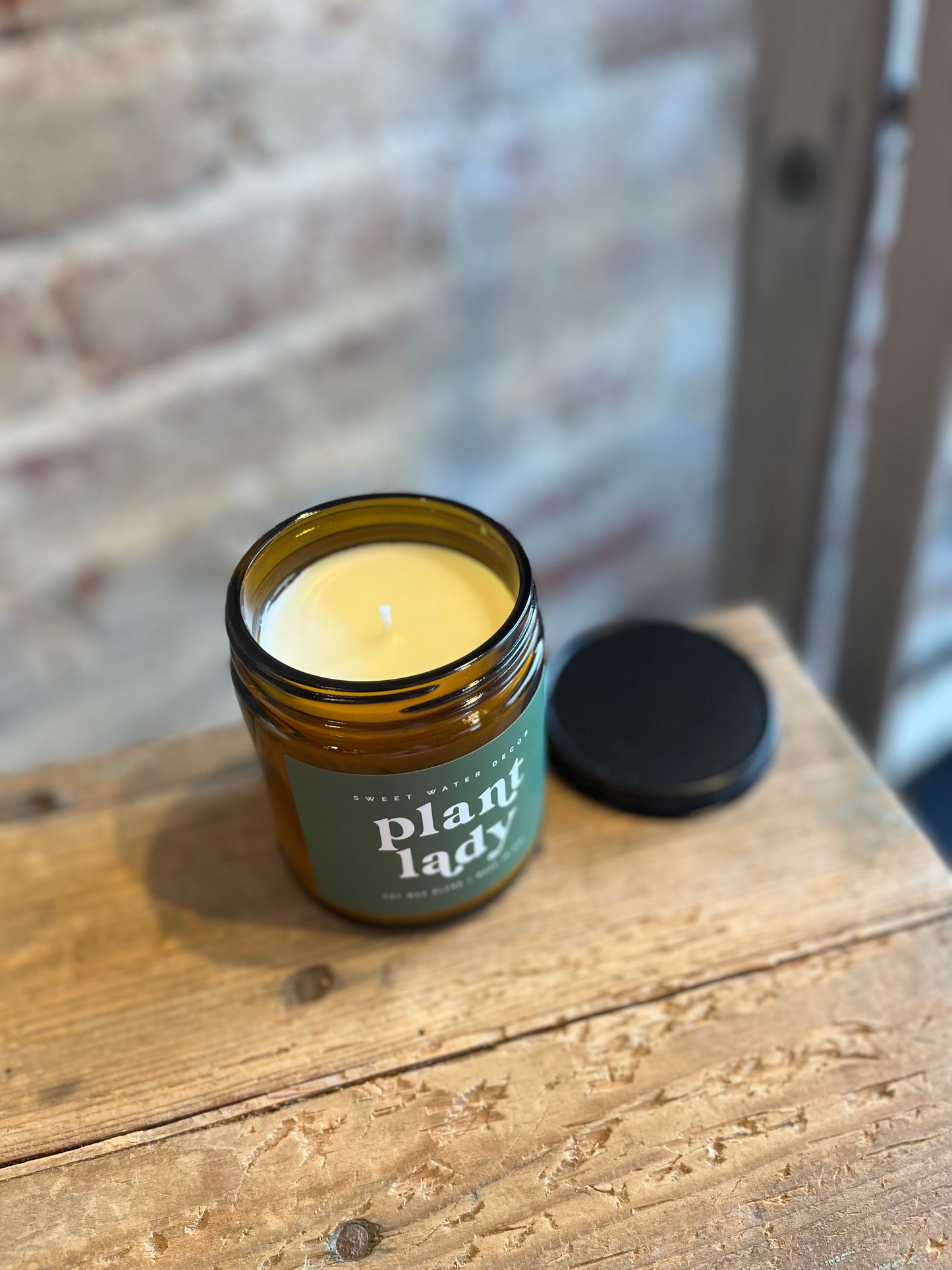 Plant Lady Soy Candle