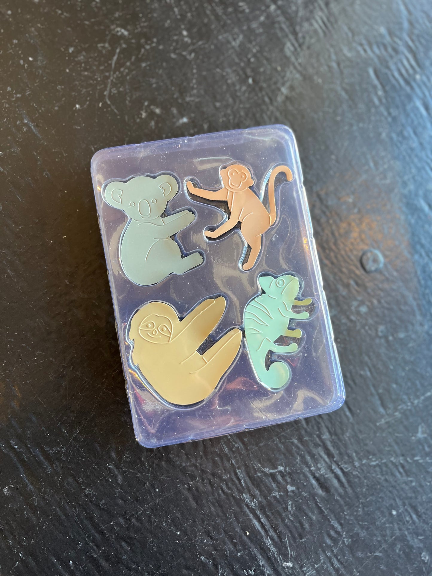 Plant Animal Buddies