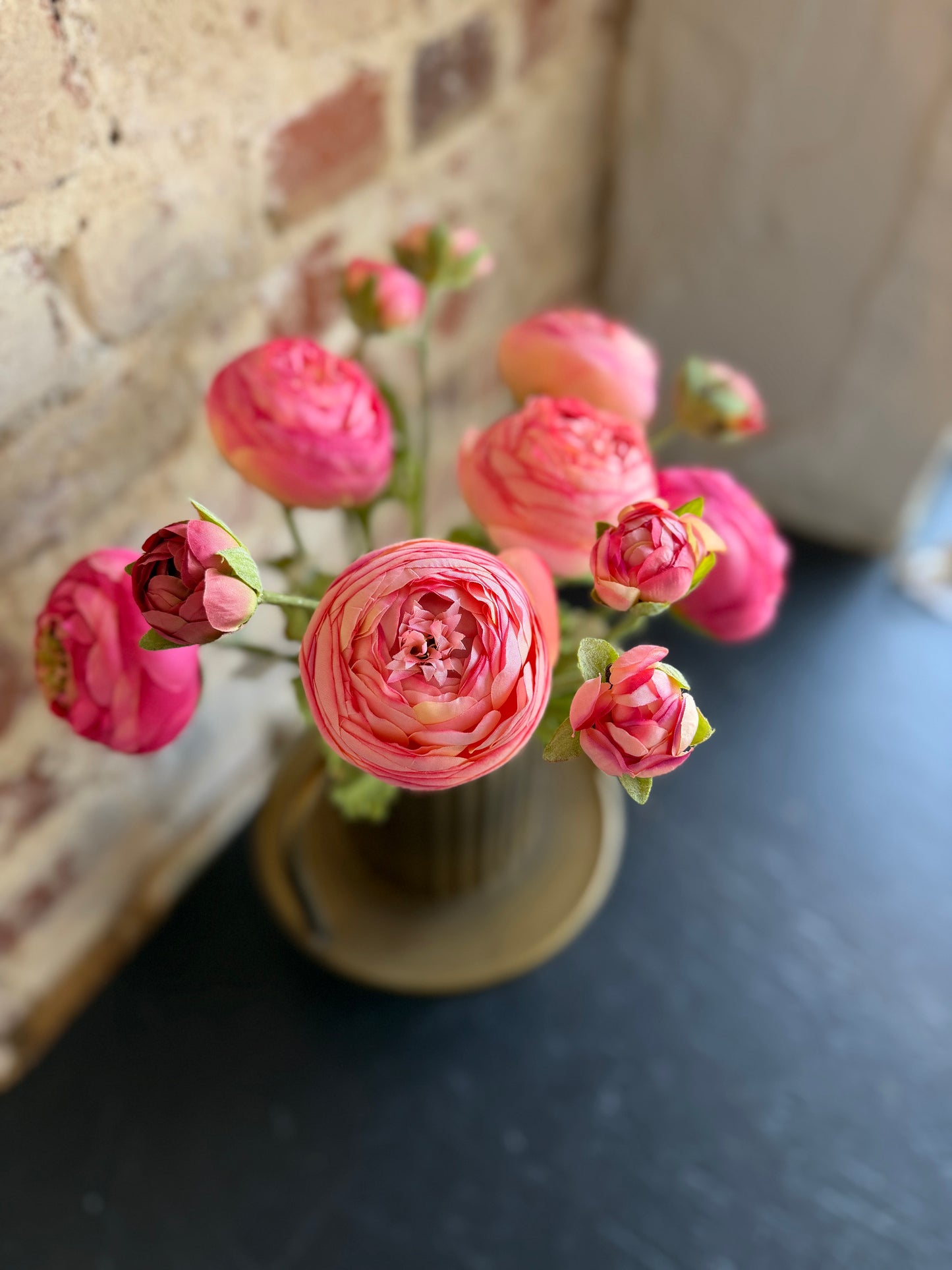 Pink Ranunculus Flower Stem