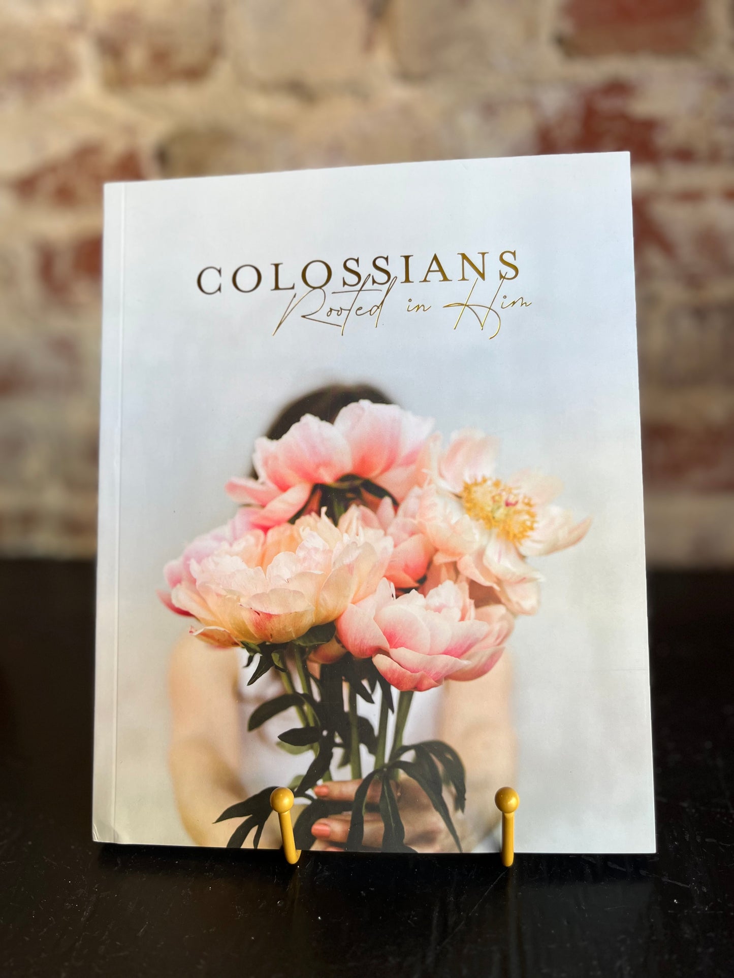 Rooted in Him - Colossians Bible Study