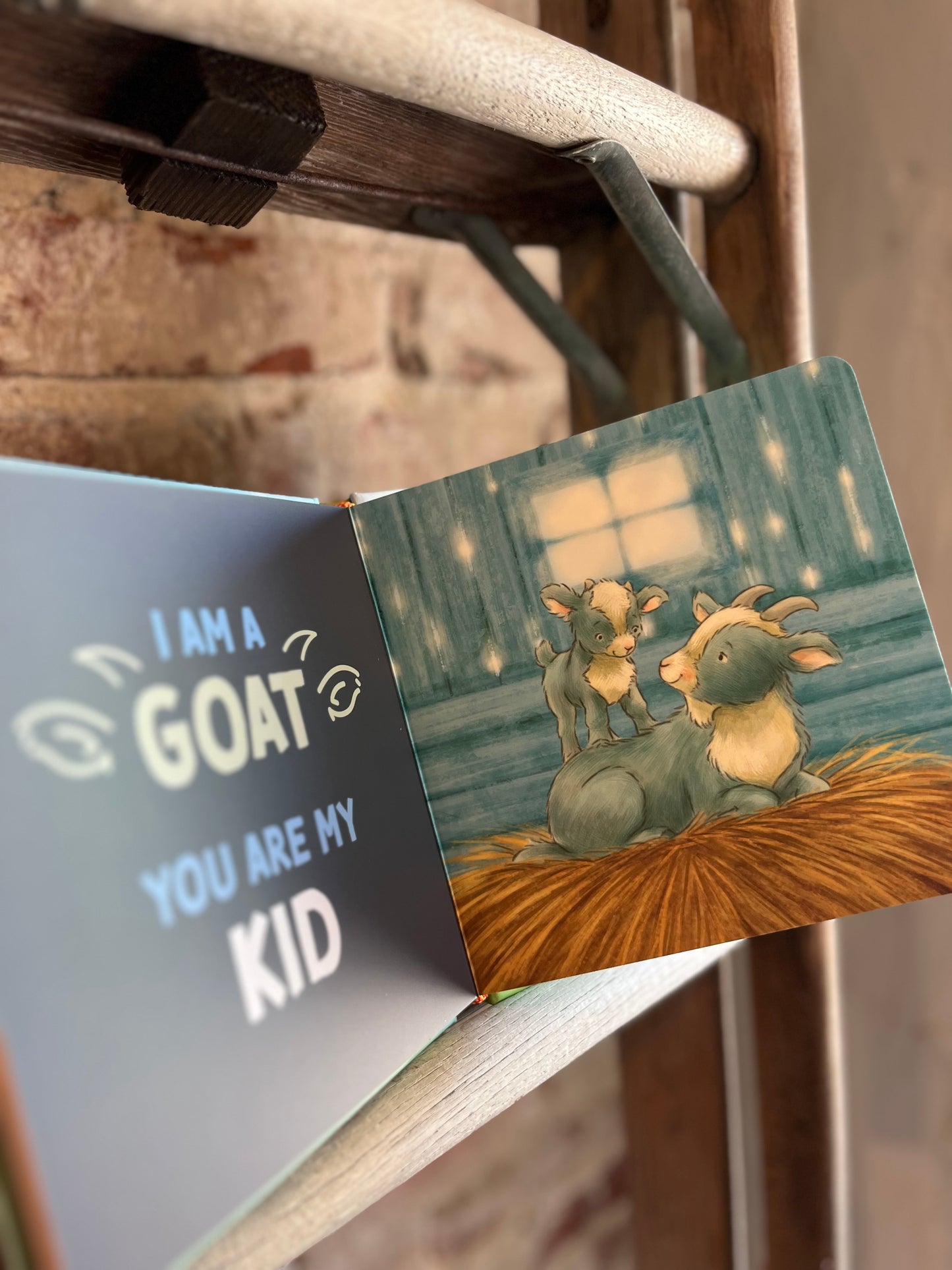 You Are My Baby Board Book