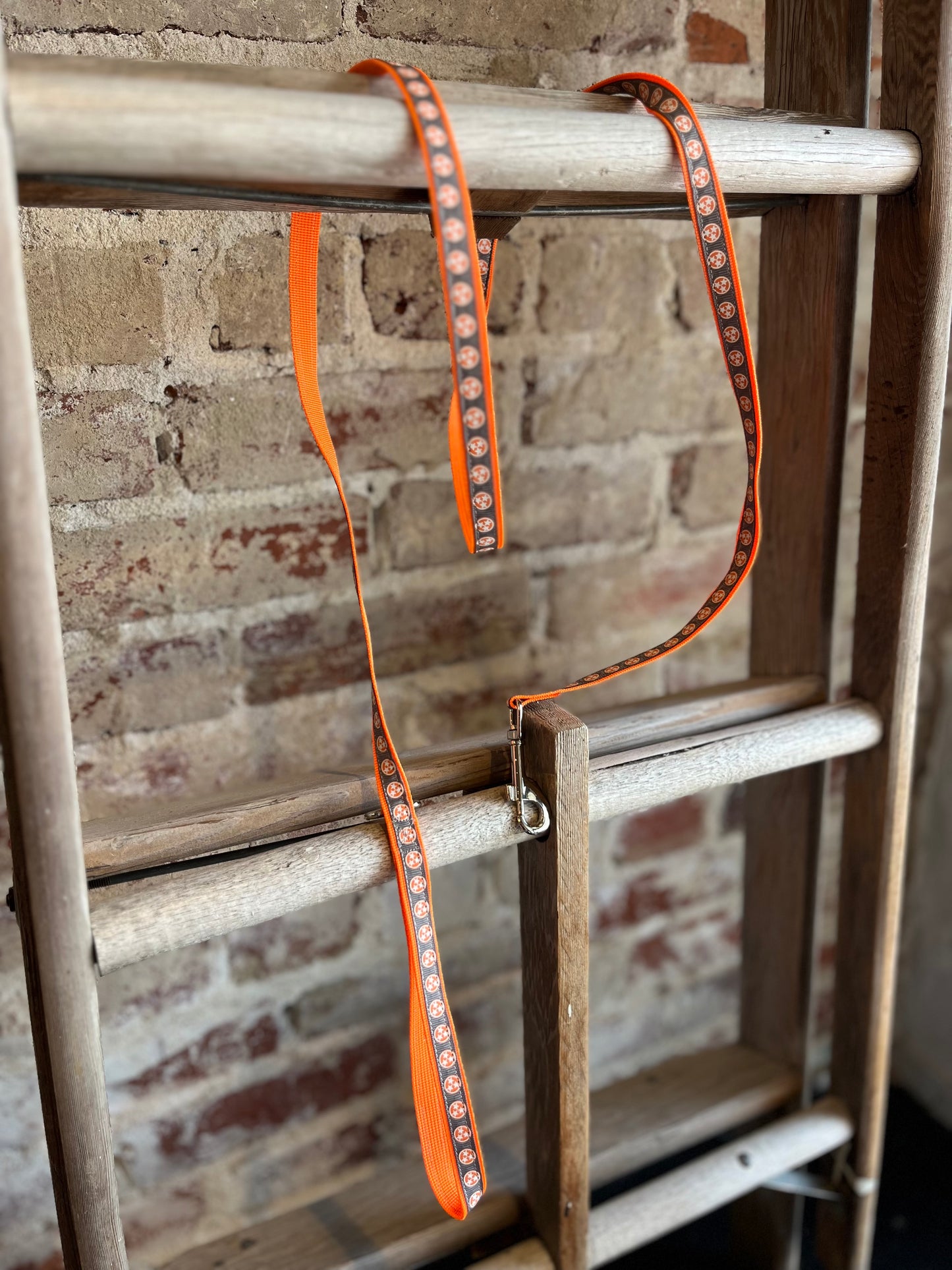 TriStar Leash- Orange