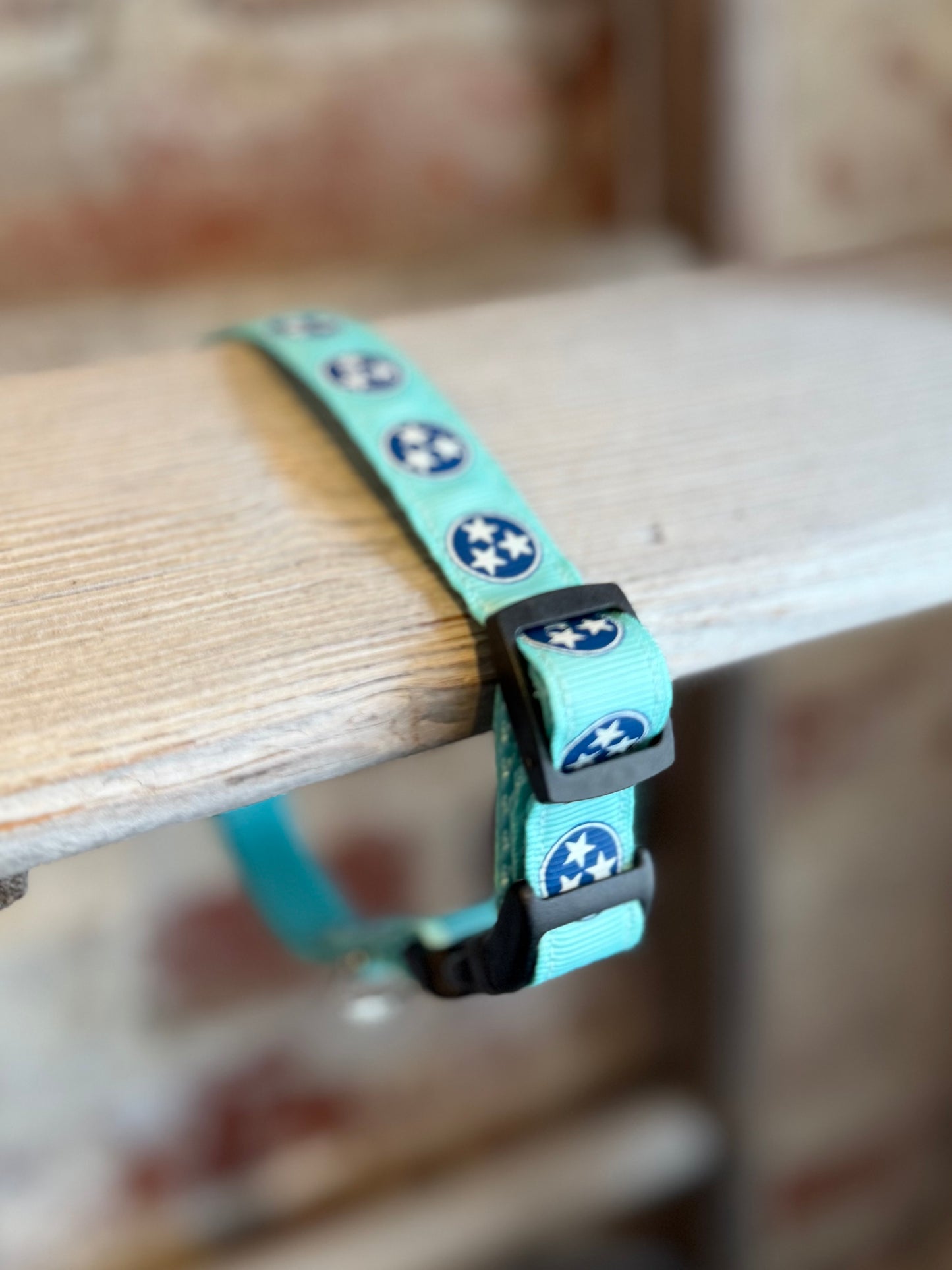 TriStar Narrow Pet Collar- Teal/Blue