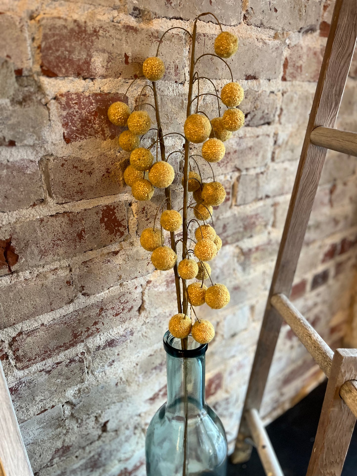Billy Balls Stem