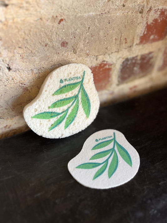 Pop-Up Sponge- Eucalyptus