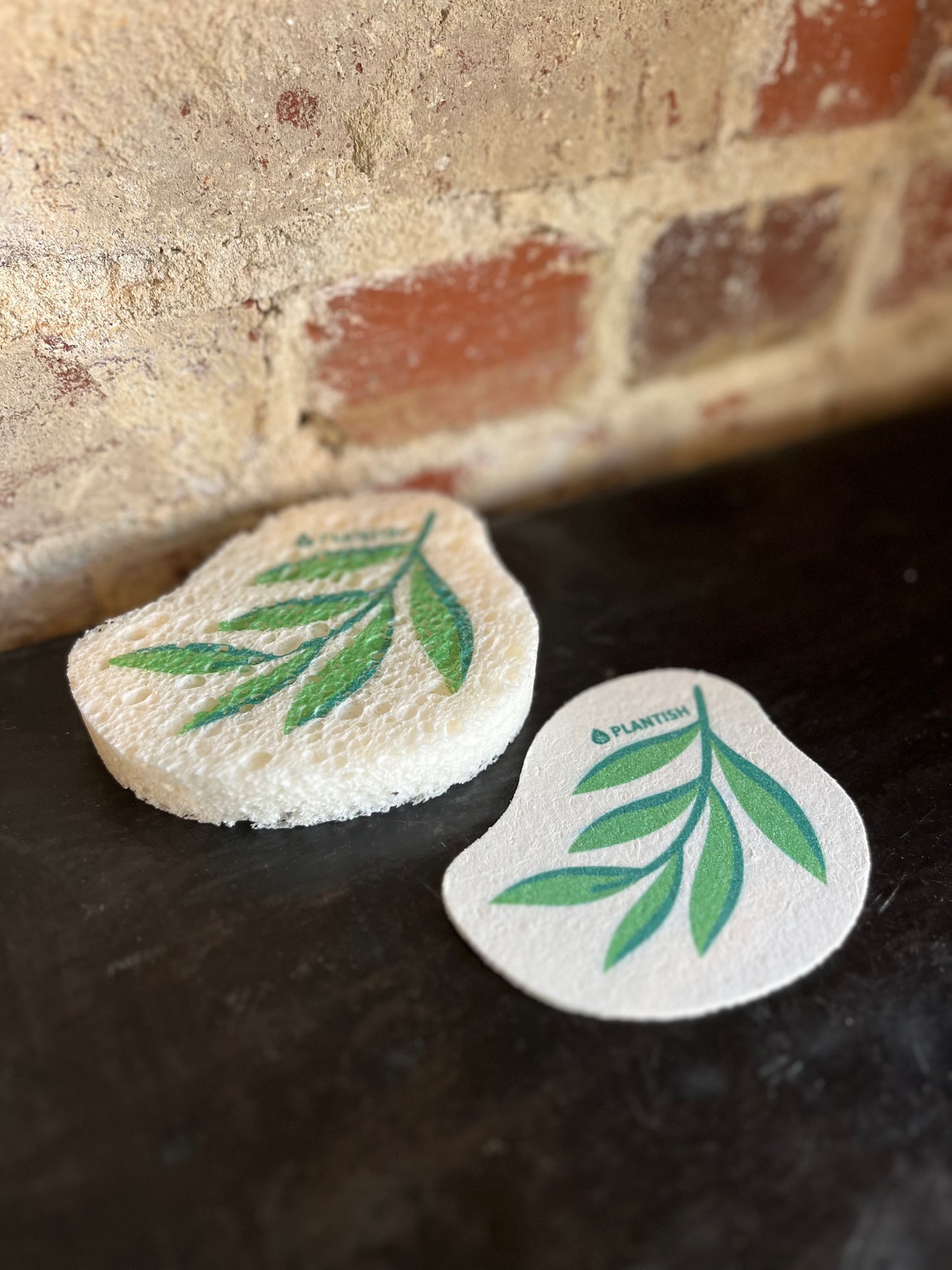 Pop-Up Sponge- Eucalyptus