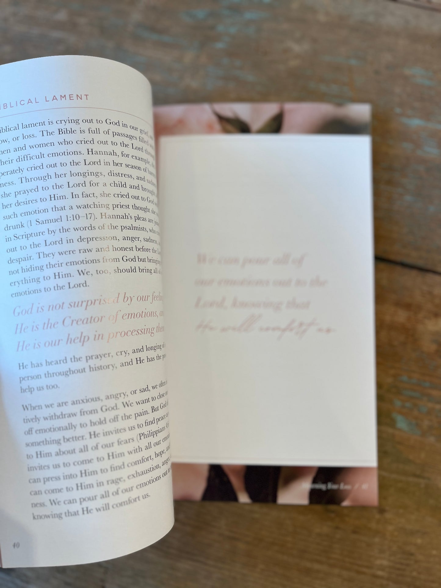 Gospel Hope in Pregnancy and Infant Loss