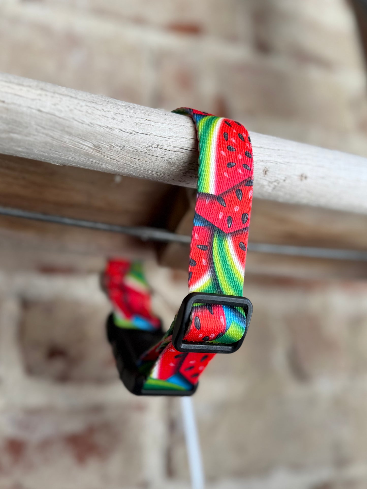 Watermelon WIDE Pet Collar