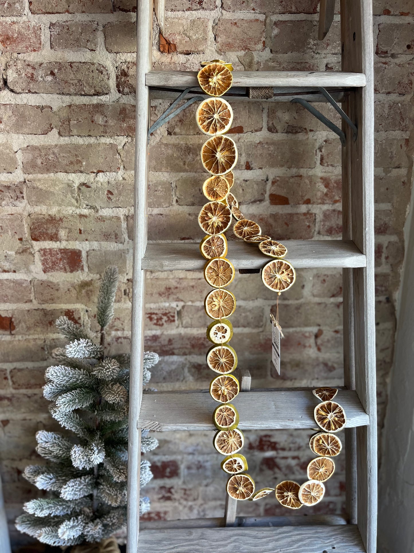 Dried Orange Slice Garland