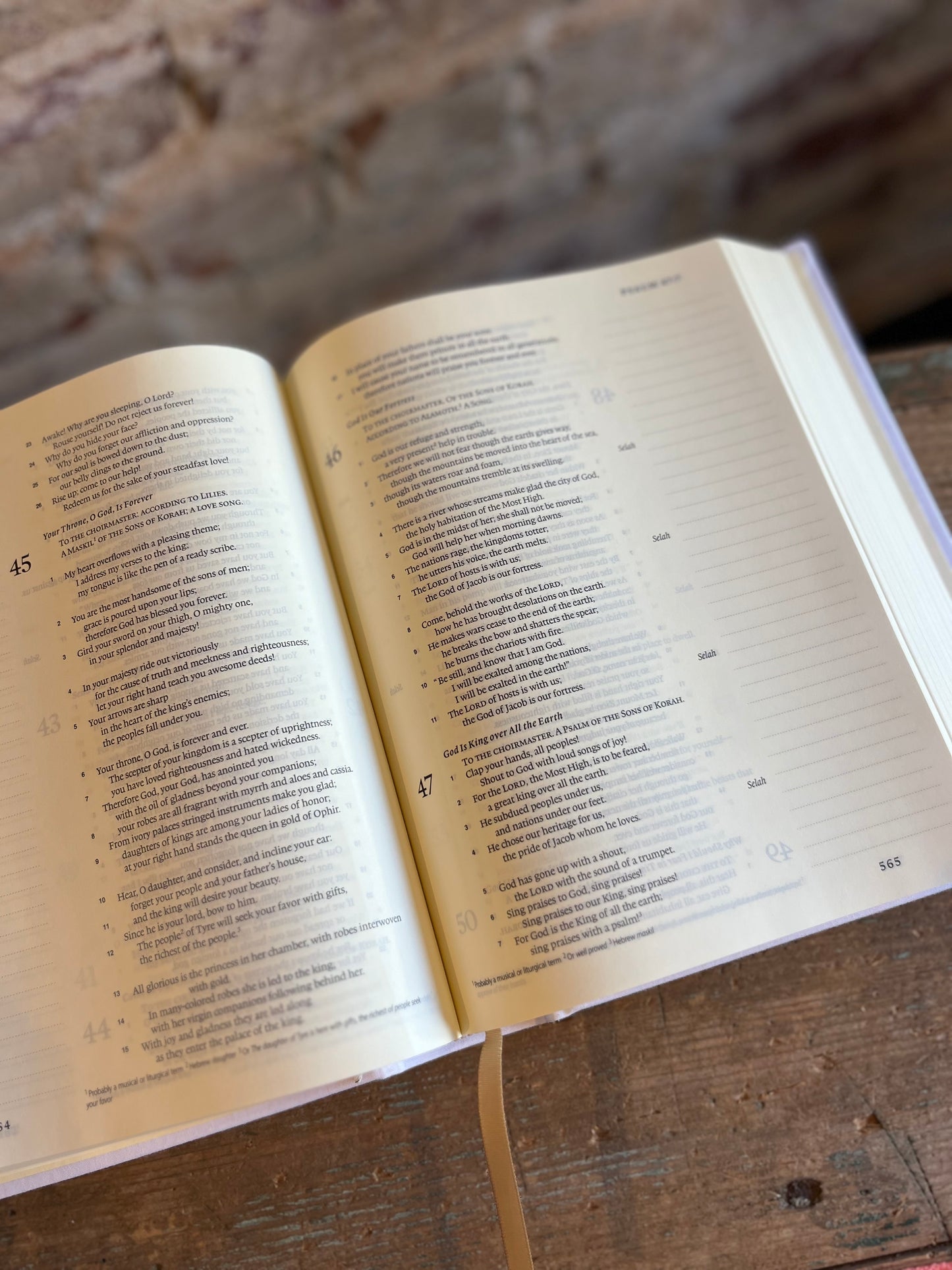 Tis so Sweet to Trust in Jesus Journaling Bible- ESV