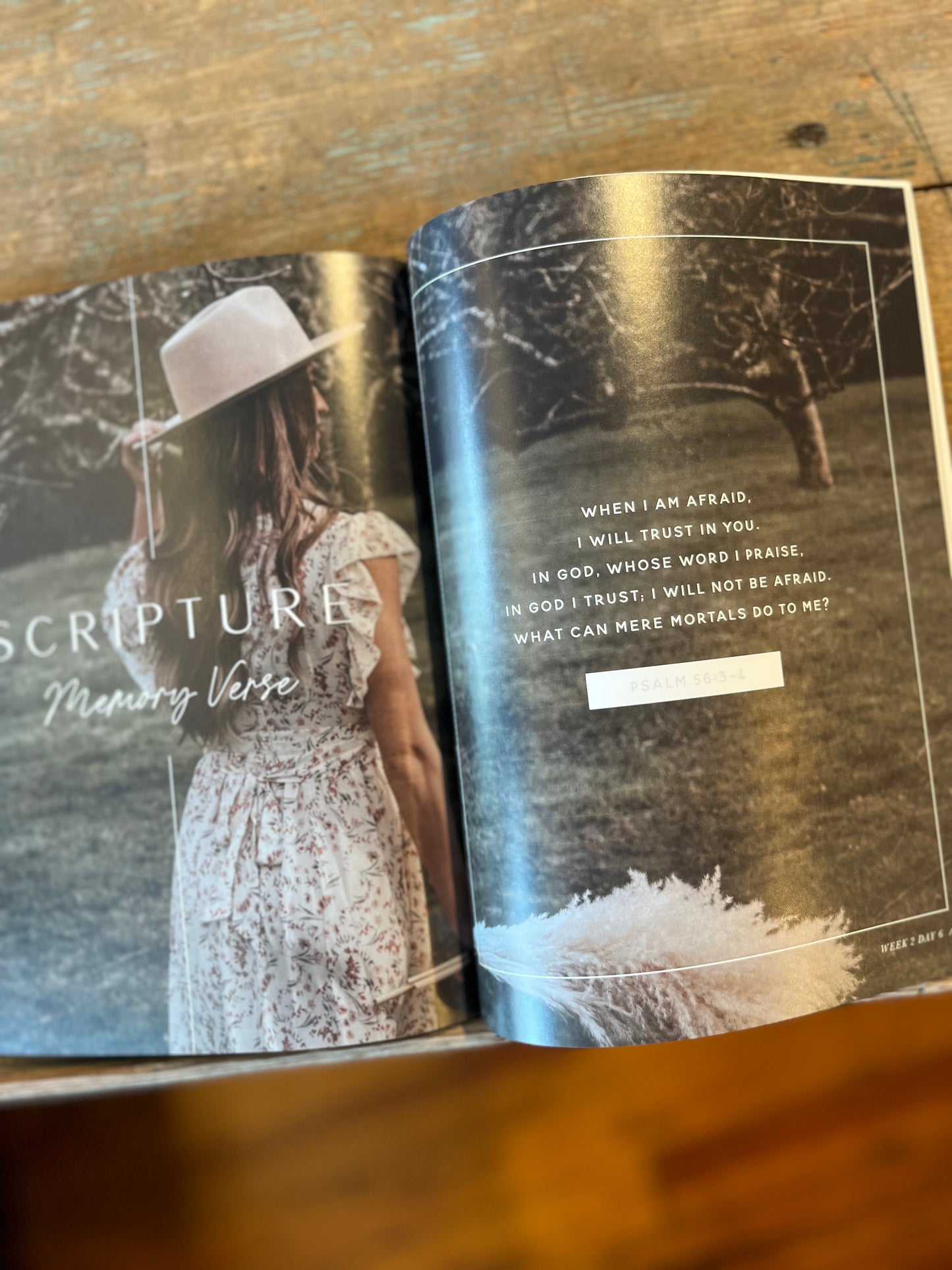 When Fear Meets Faith Study