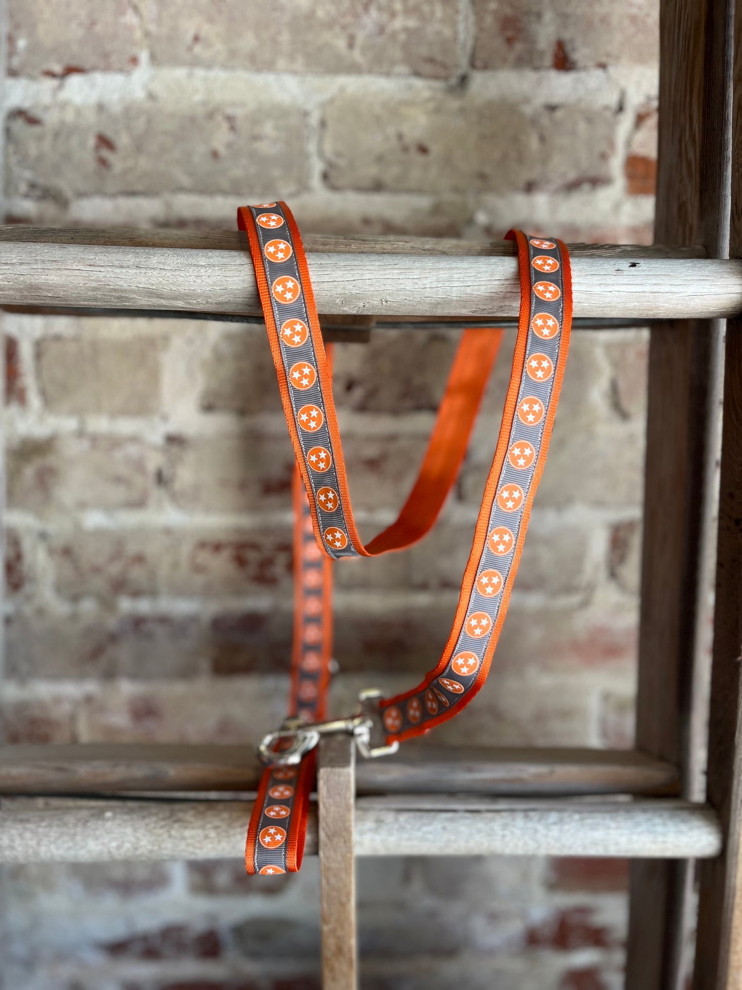 TriStar Leash- Orange