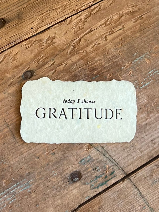 Today I Choose Gratitude