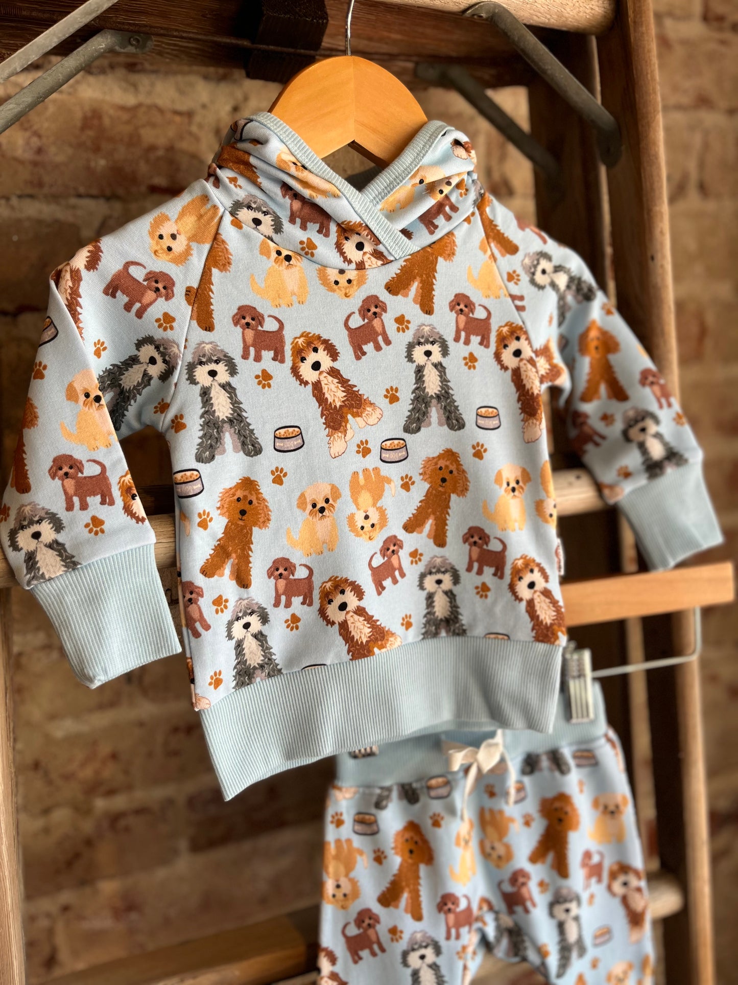 Little Doodle Dog Hoodie Set- Toddler/Youth