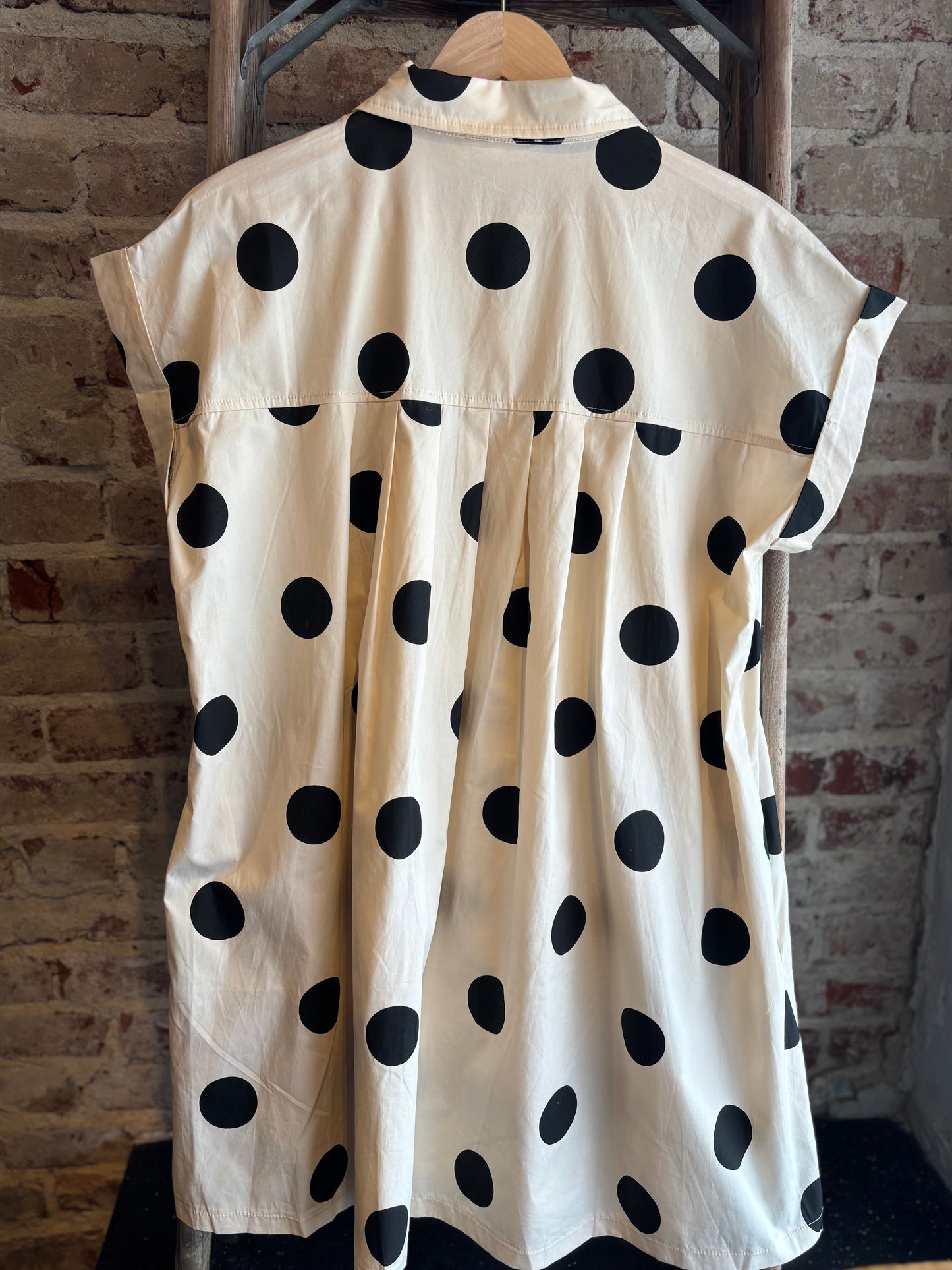 Polka Dot Poplin Pleated Dress- Cream/Black