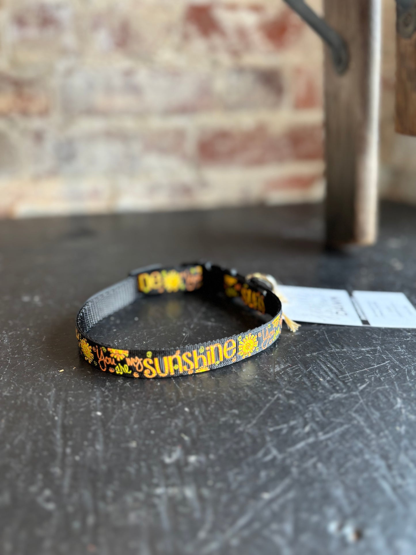 Sunshine Narrow Pet Collar- Black