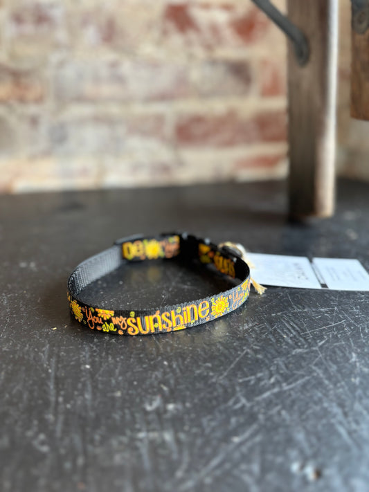 Sunshine Narrow Pet Collar- Black