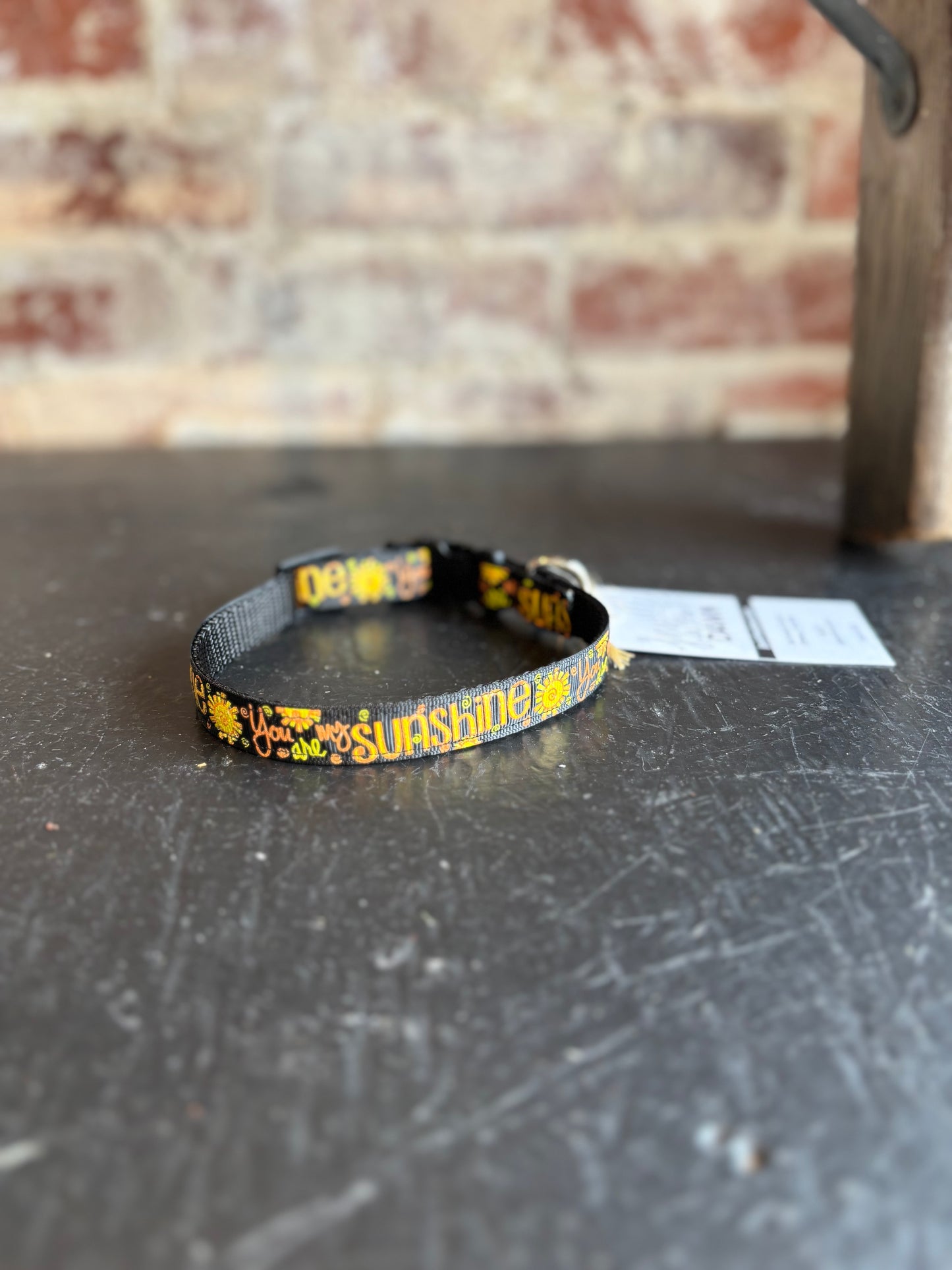 Sunshine Narrow Pet Collar- Black