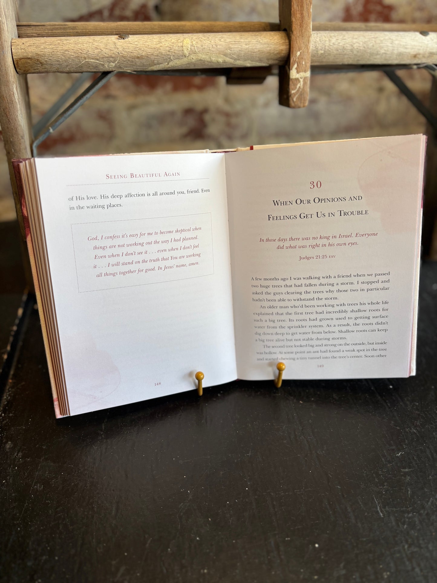 Seeing Beautiful Again Book