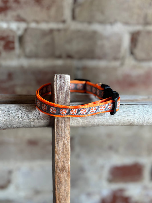 TriStar Narrow Pet Collar- Orange Trim