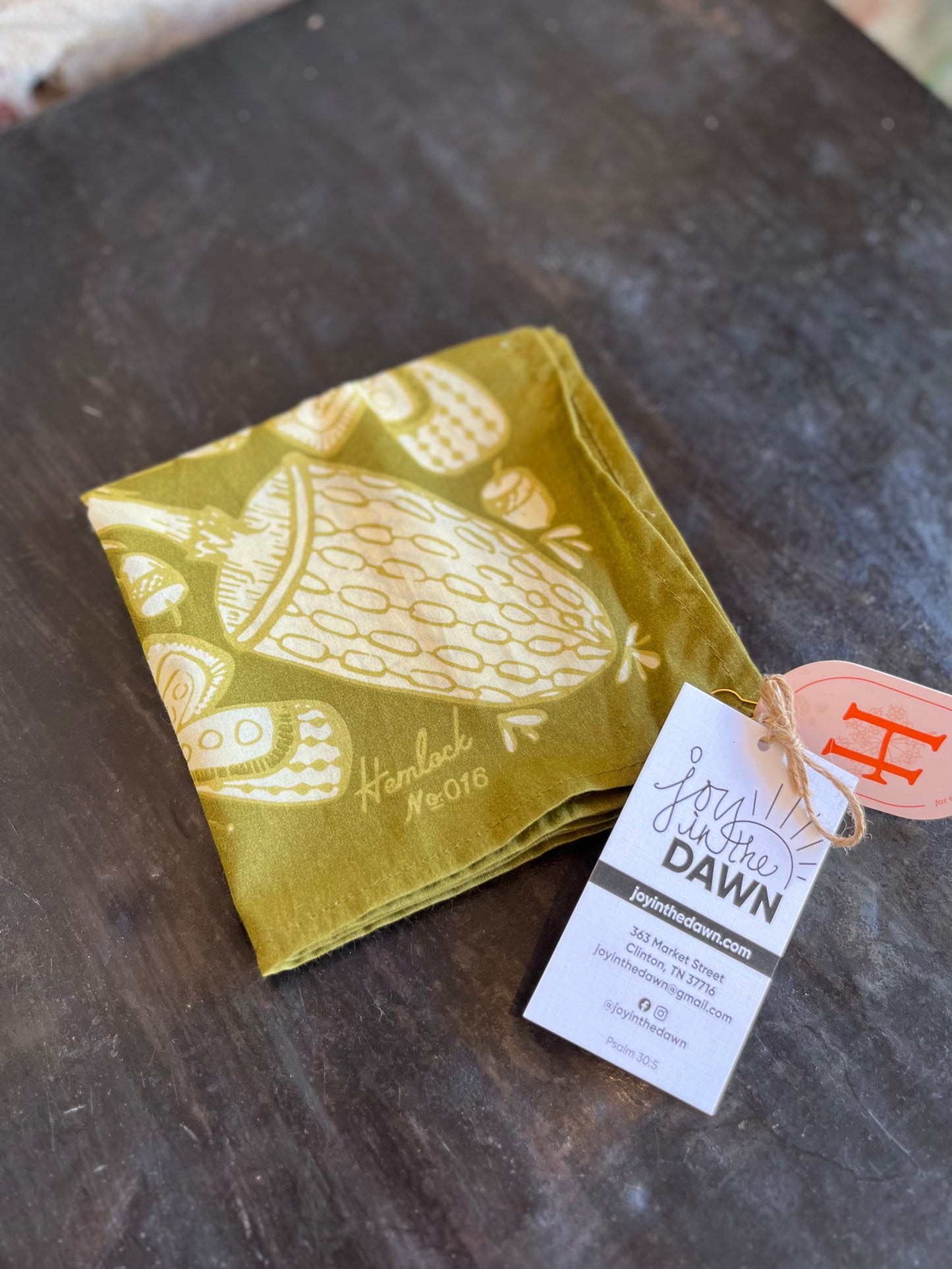 Mushroom Bandana
