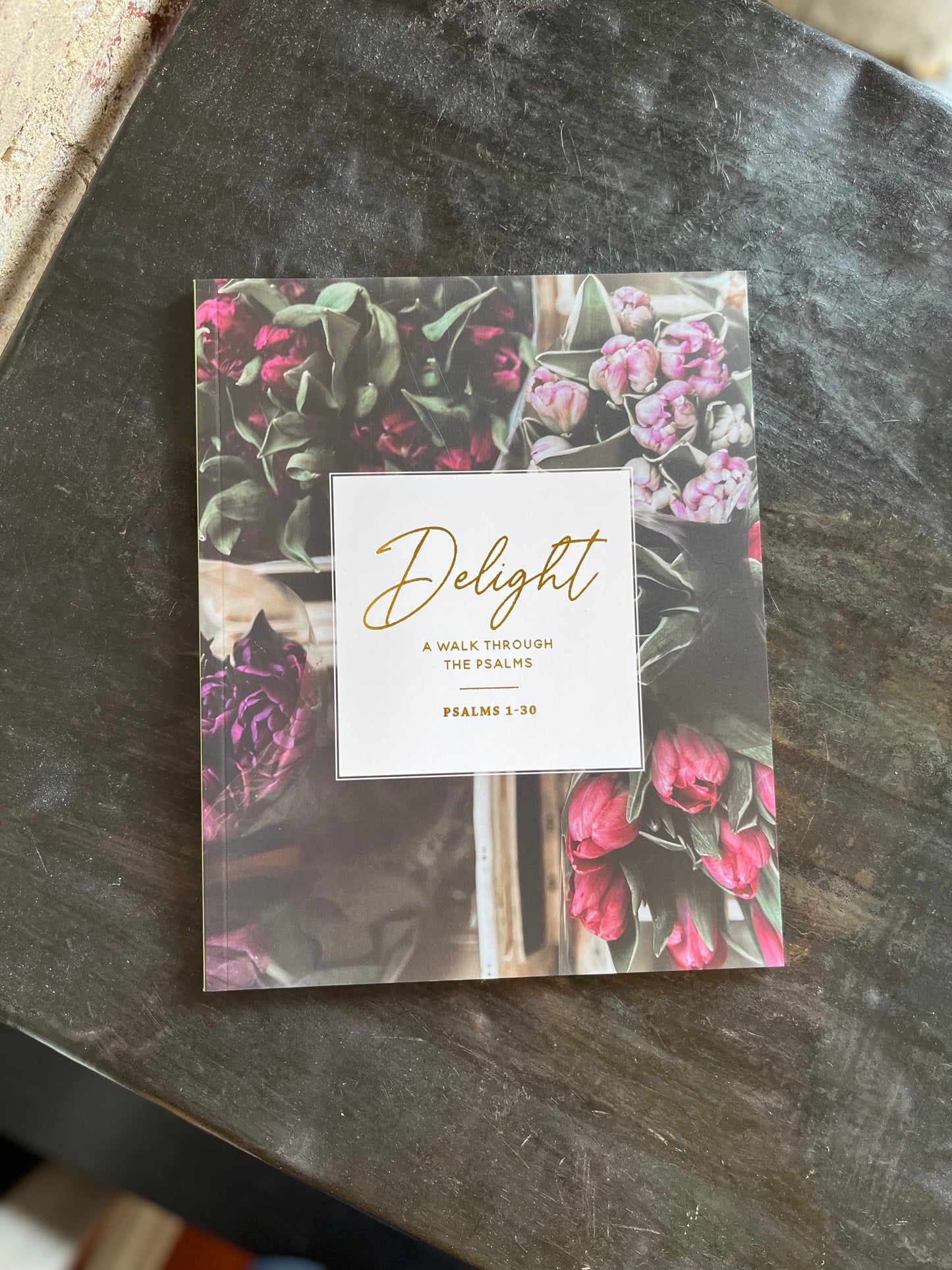 Delight Study