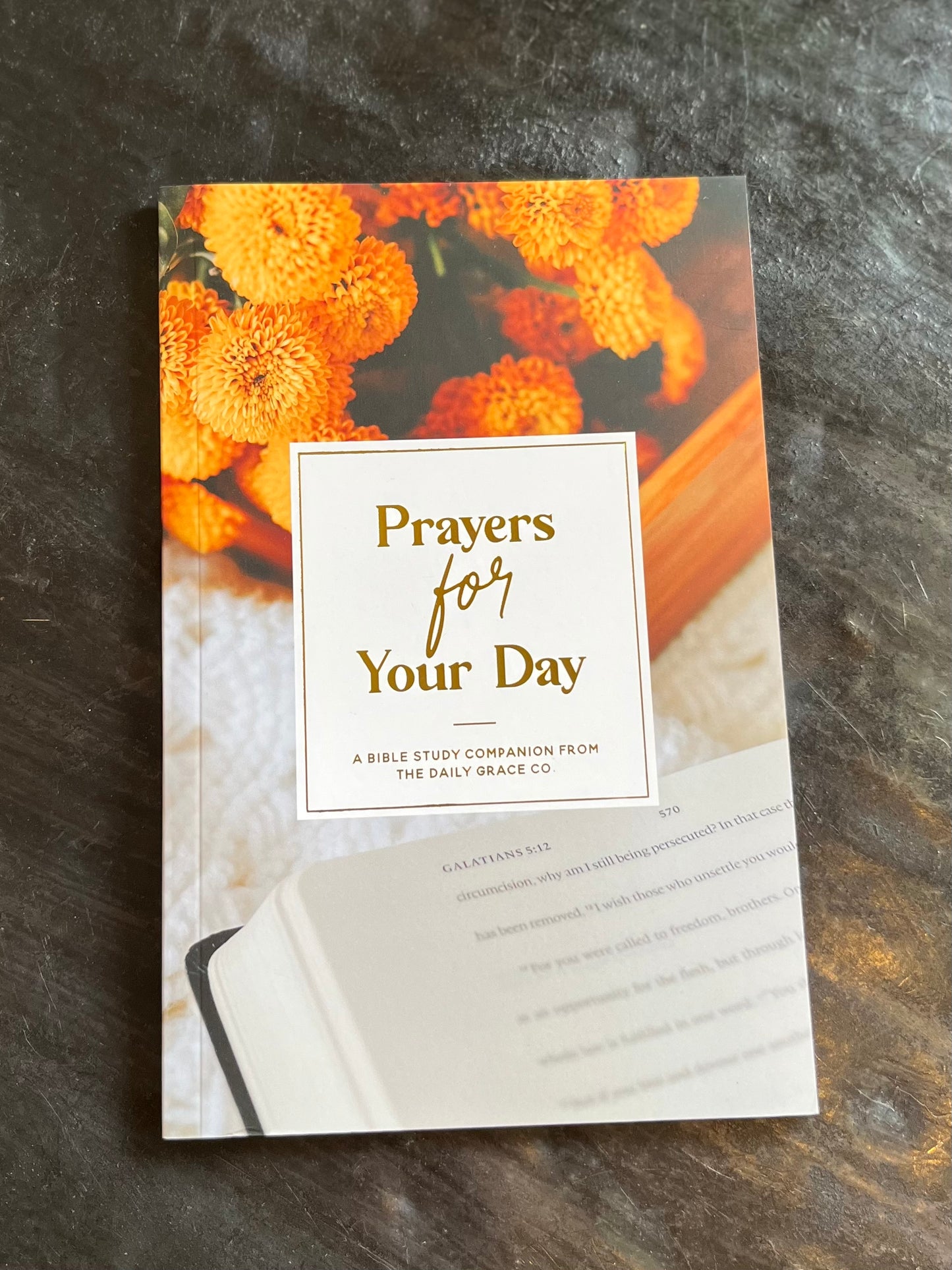 Prayers for Your Day