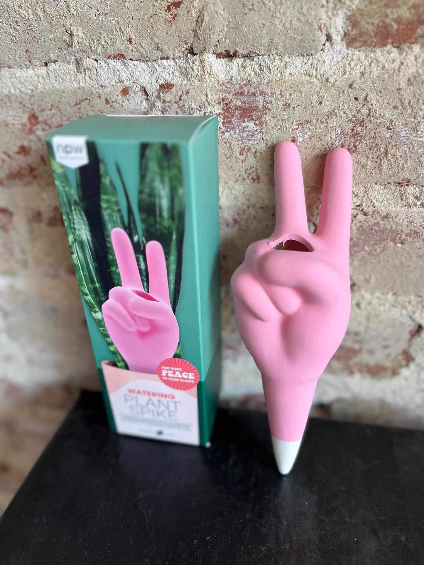 Peace Watering Plant Spike