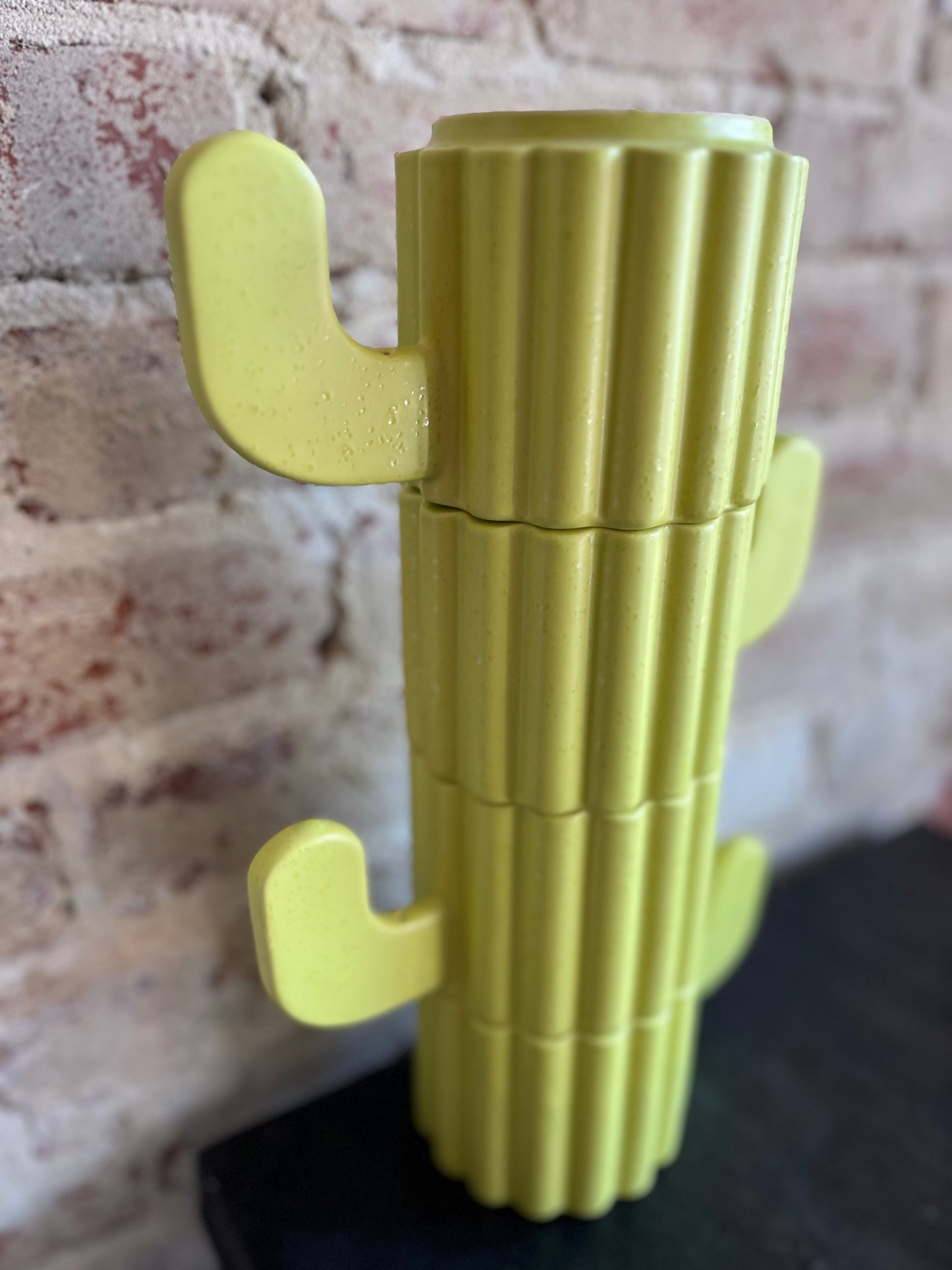 Cactus Mug Set- Green
