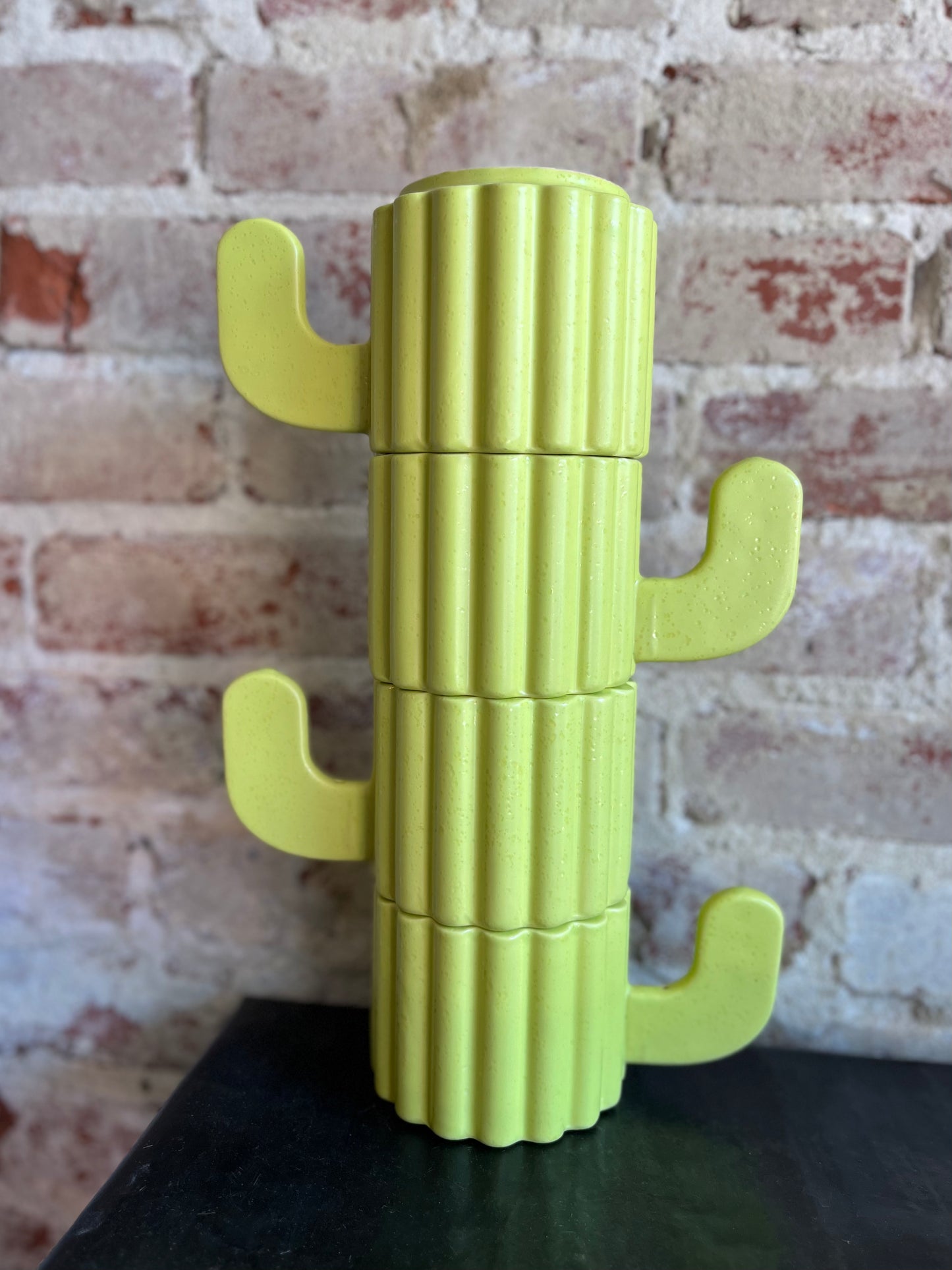 Cactus Mug Set- Green