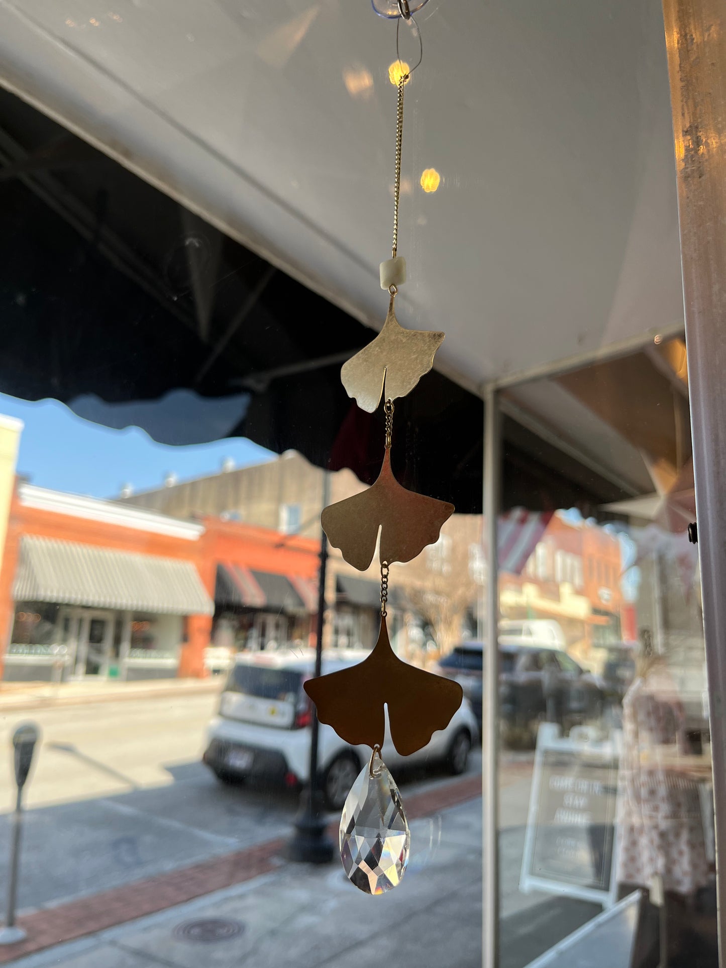 Ginkgo Botanical Leaf Suncatcher