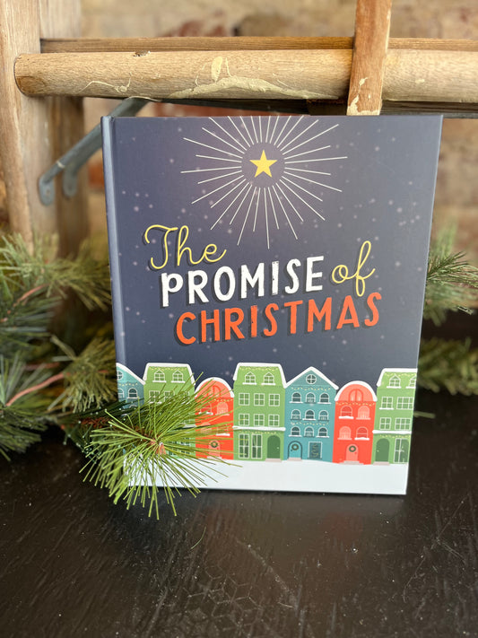 The Promise of Christmas Kids Book