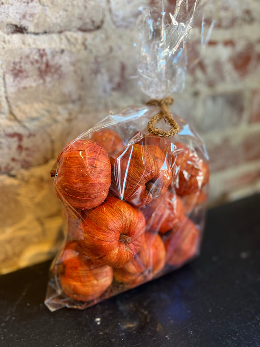 Dried Mini Pumpkins- Orange