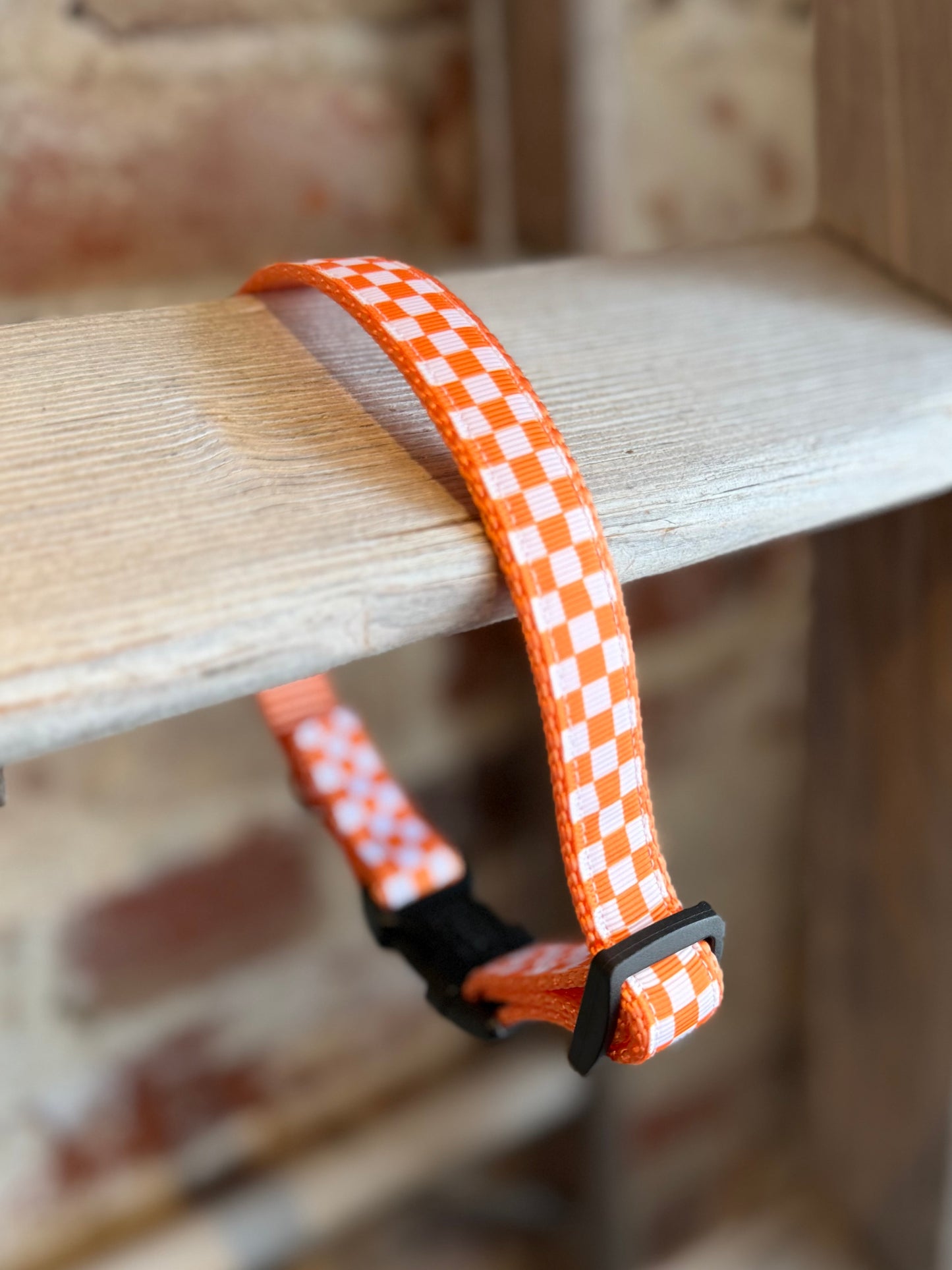 TriStar Narrow Pet Collar- Orange/White