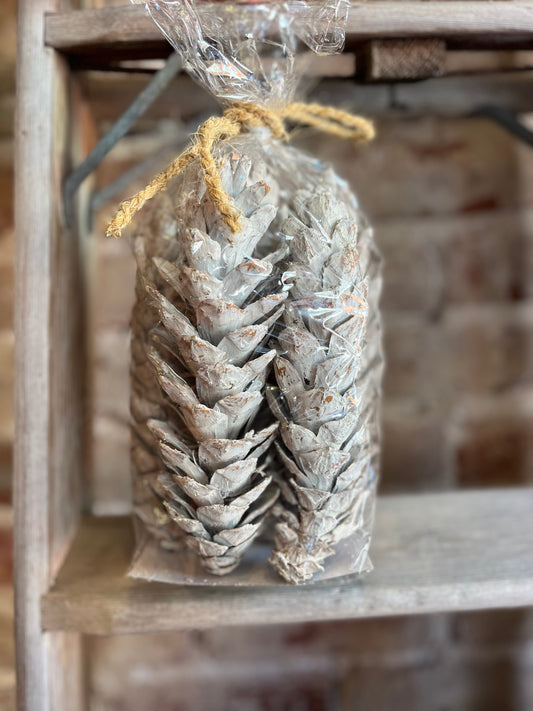 Dried Pinecones - Frosted White