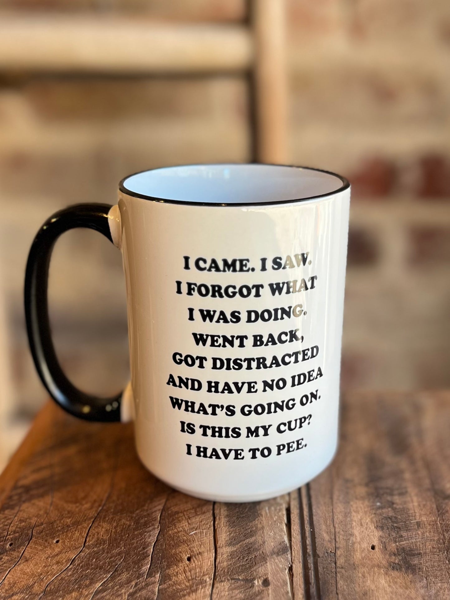 I Came, I Saw, I Forgot Mug