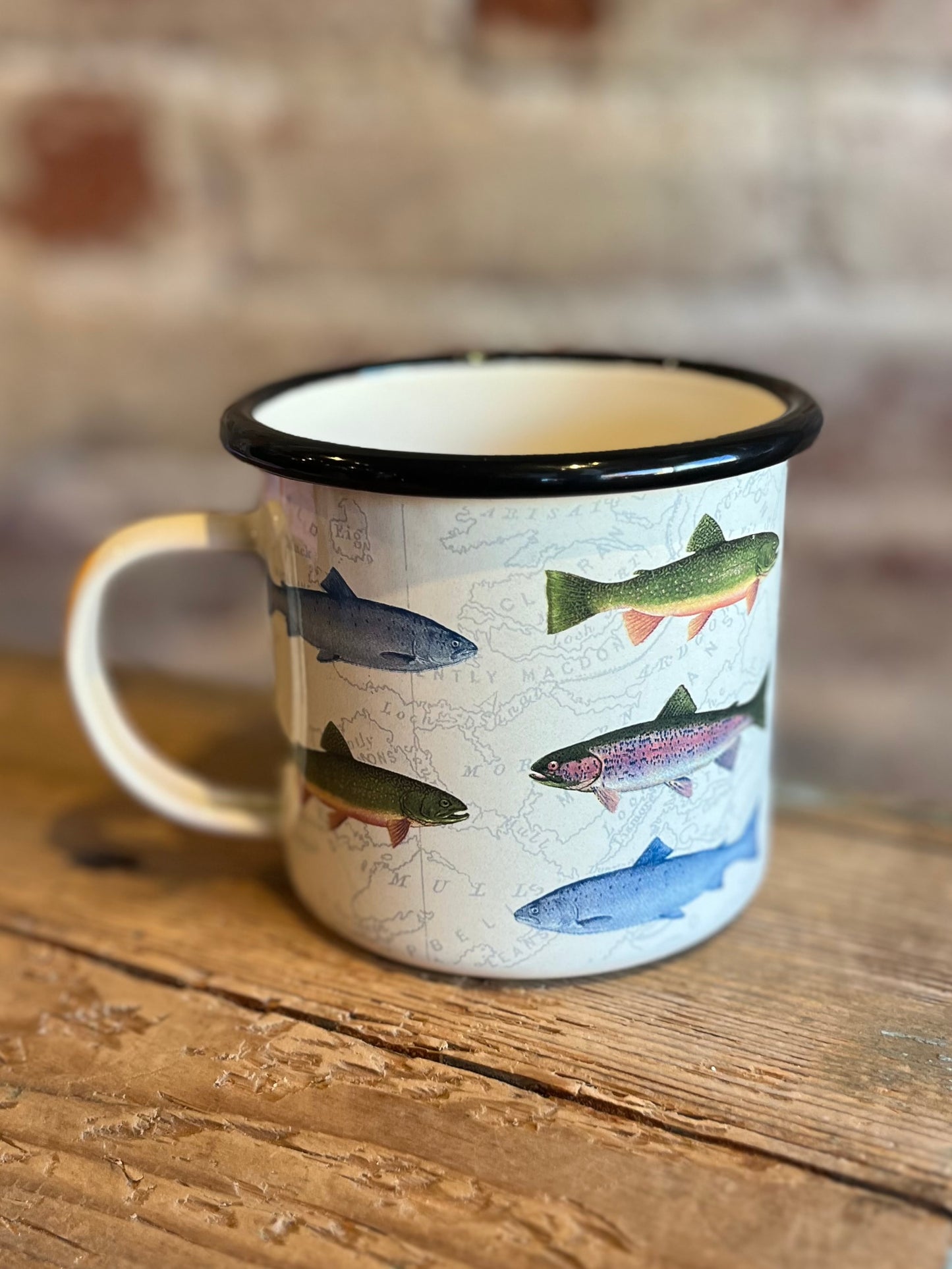 Fish Enamel Mug